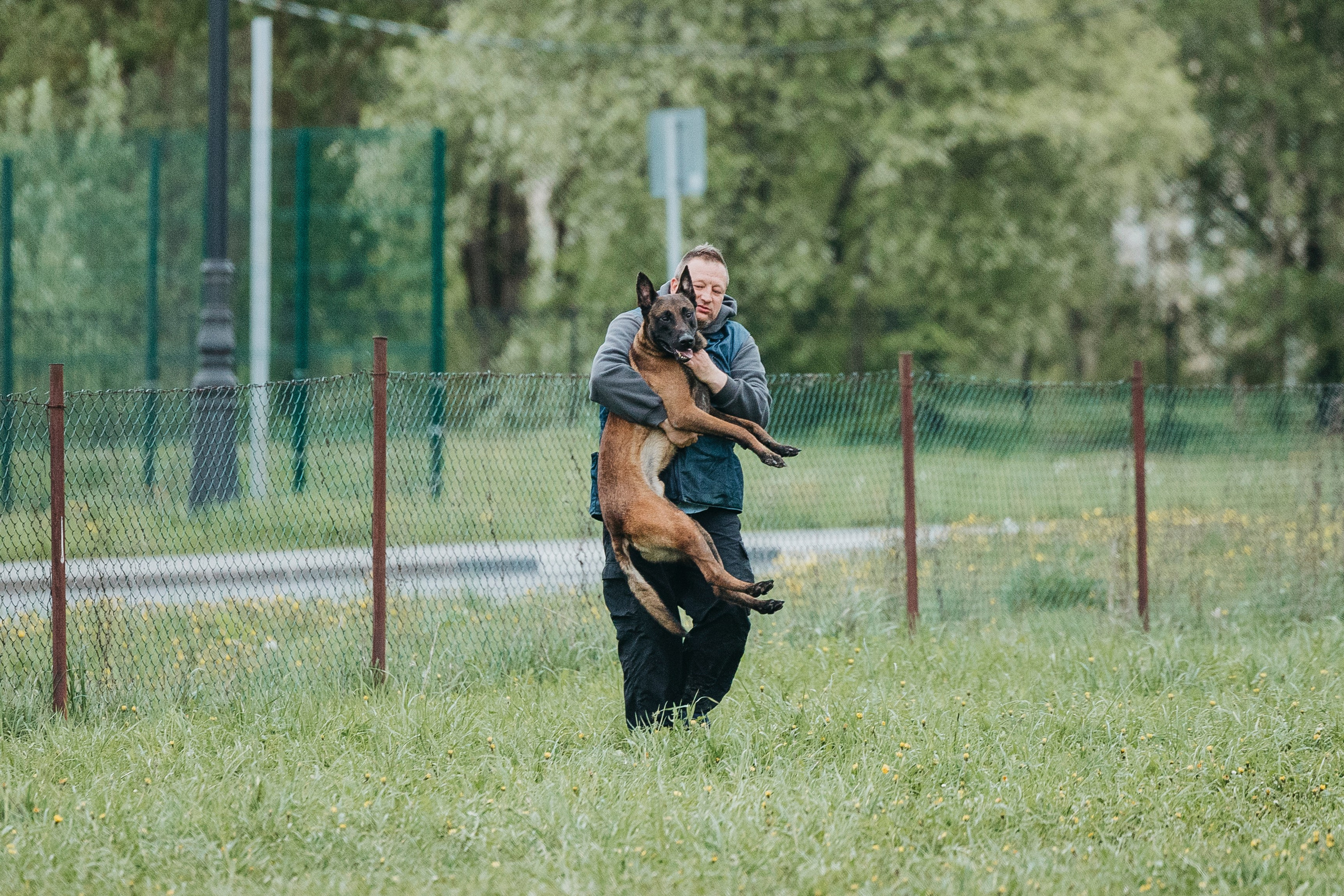 26.05.25 г. Пушкин квалификационные соревнования. Фотограф-анималист Анна Маринич
