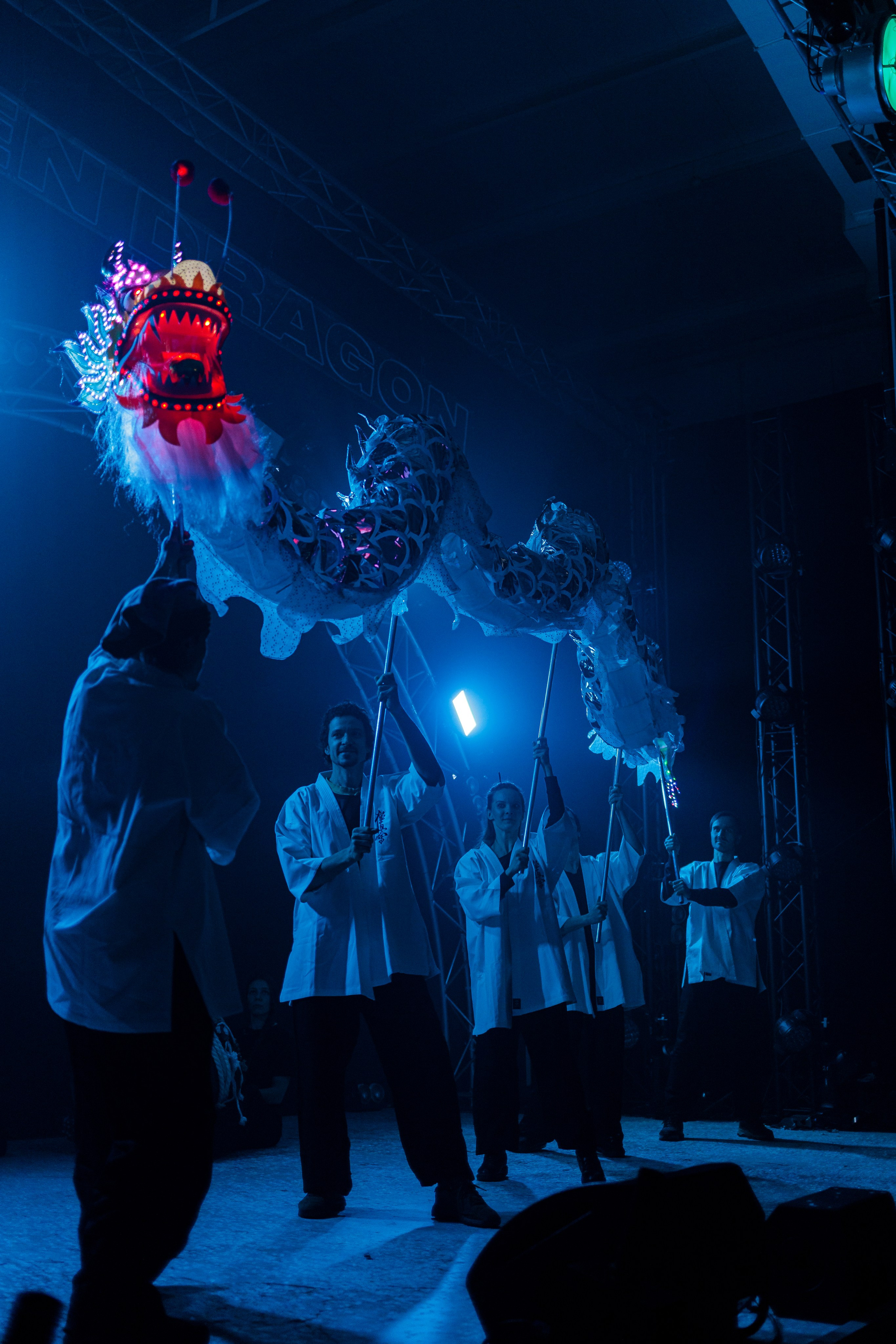 Год дракона