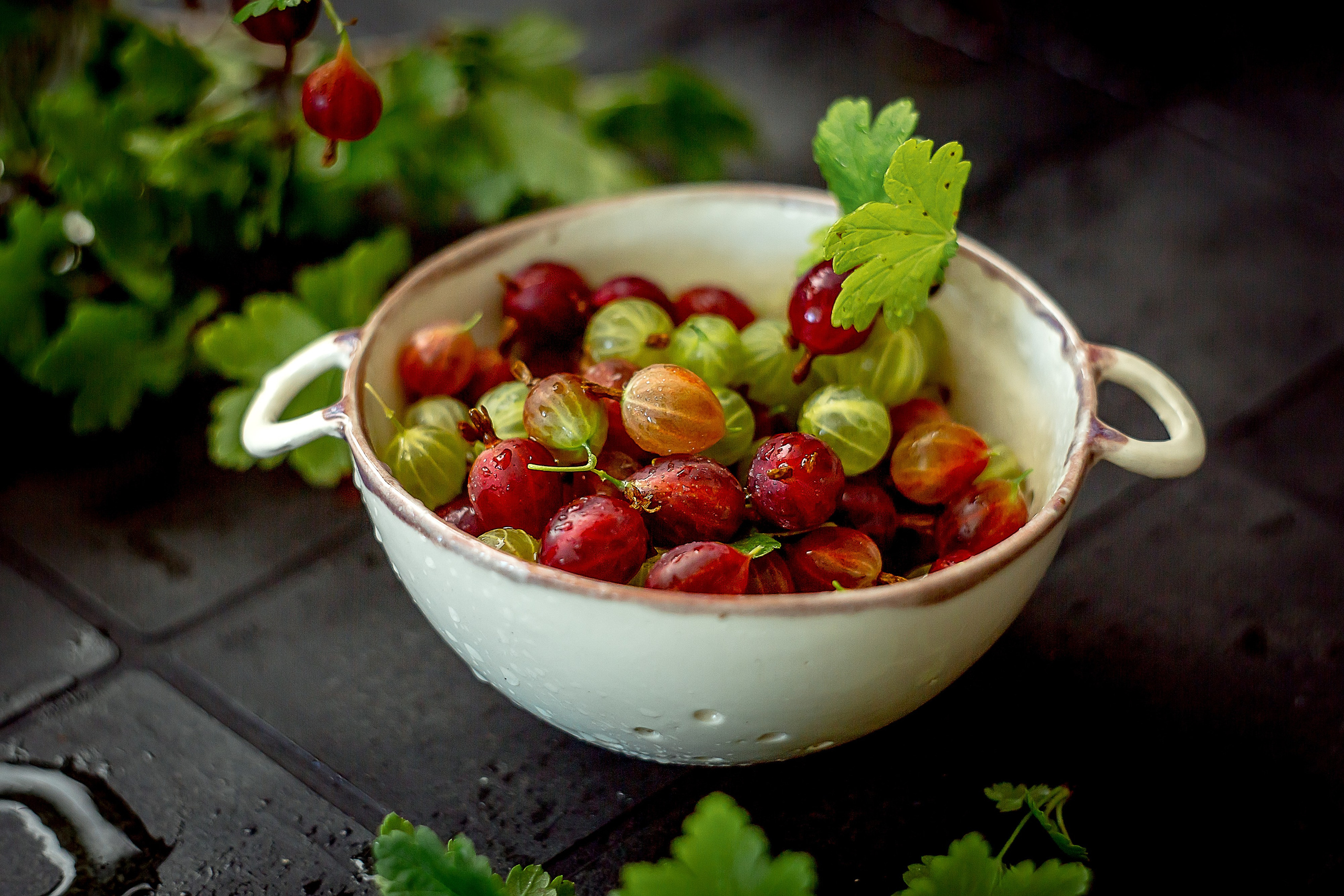Творческие работы. Рекламный фотограф для вашего бизнеса. Съемка интерьеров, меню отелей, кафе и ресторанов