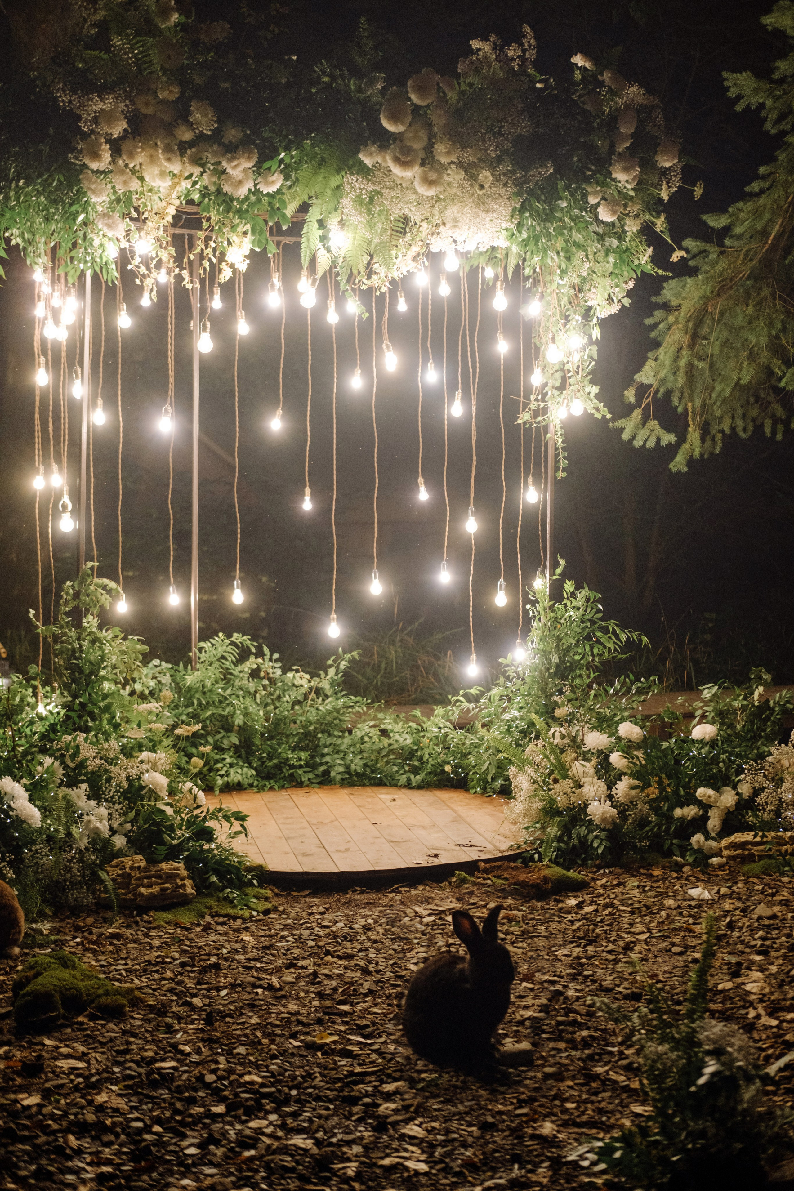 Кот и Дракон. Свадебный Видеограф Фотограф в Сочи