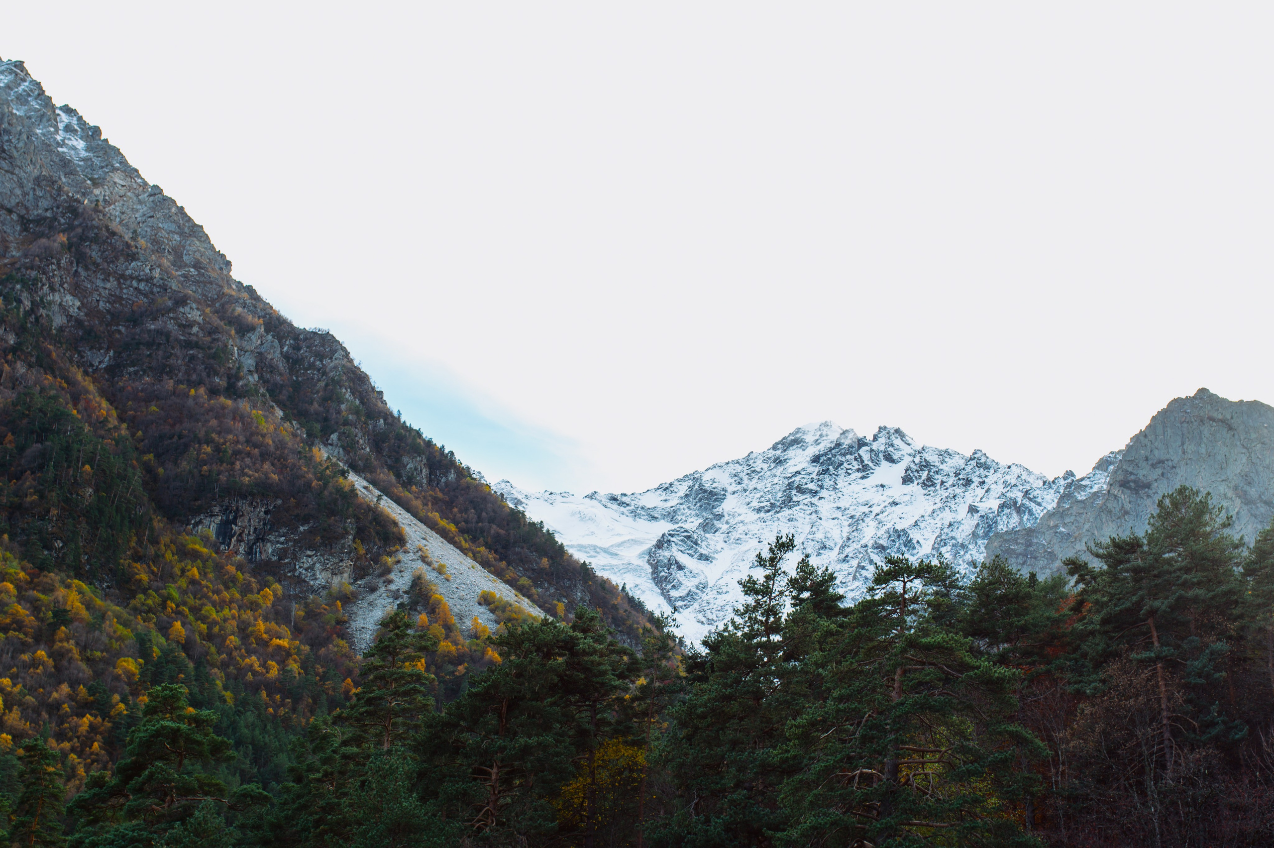 S & E. Главная