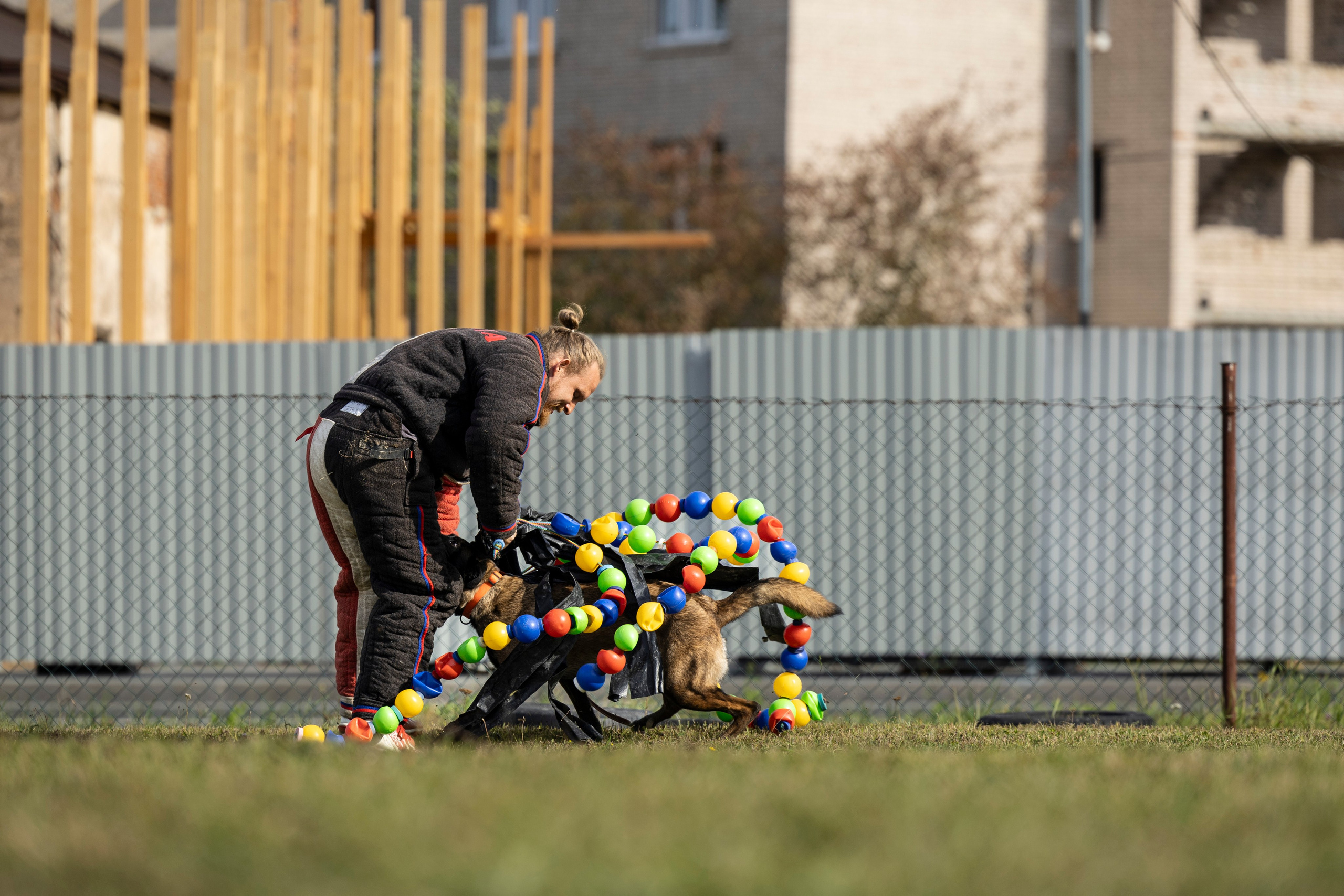 Испытания по Мондьорингу г. Пушкин. Фотограф-анималист Анна Маринич