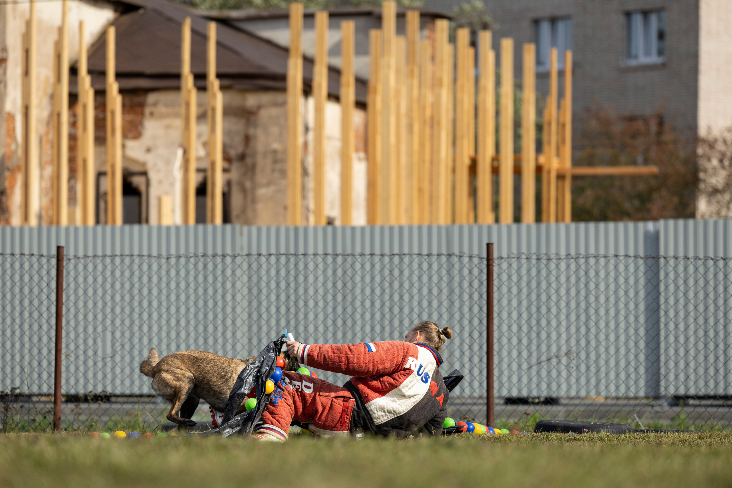 Испытания по Мондьорингу г. Пушкин. Фотограф-анималист Анна Маринич