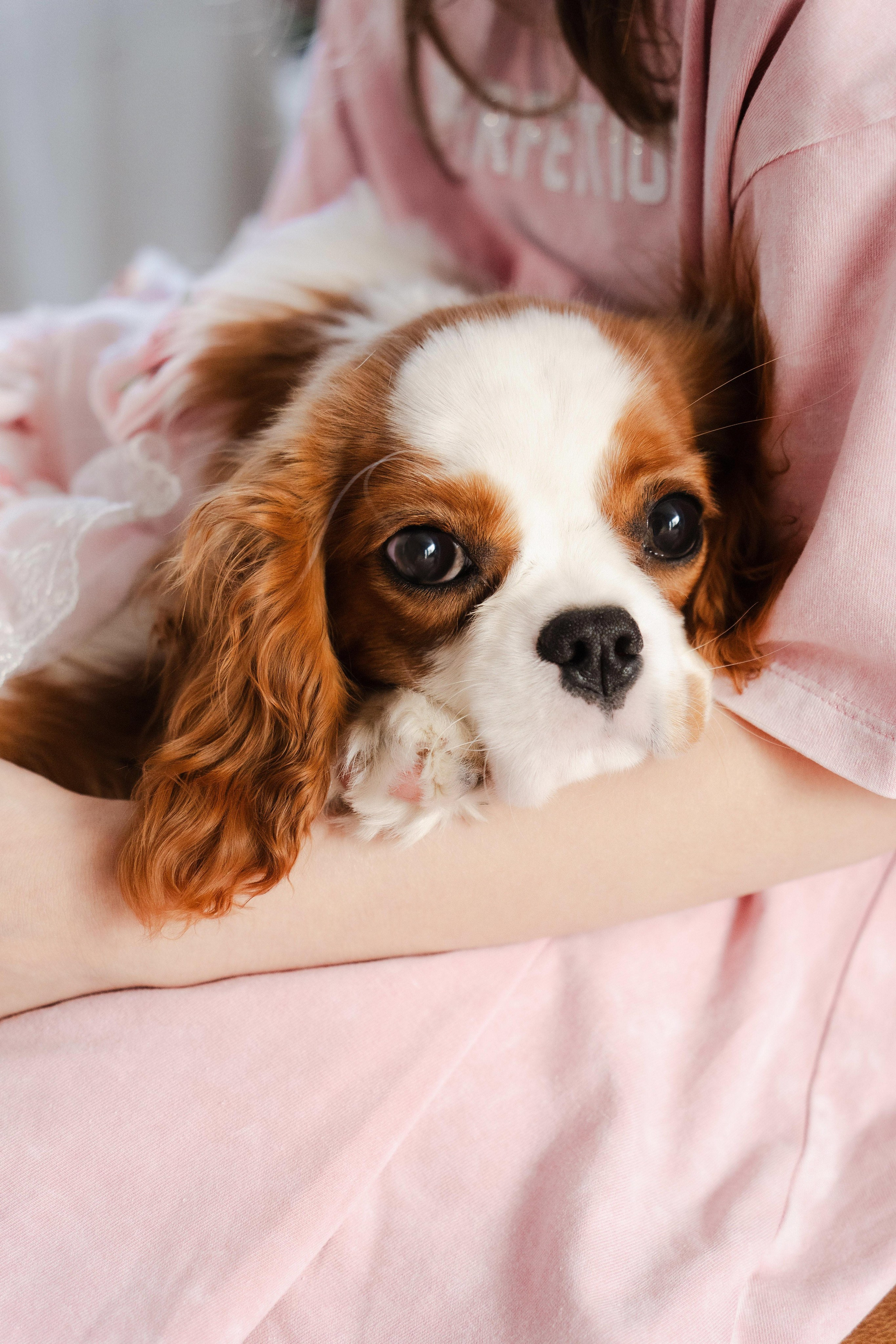 День рождения Таи. Свадебный и семейный фотограф в Санкт-Петербурге Виктор Голубев