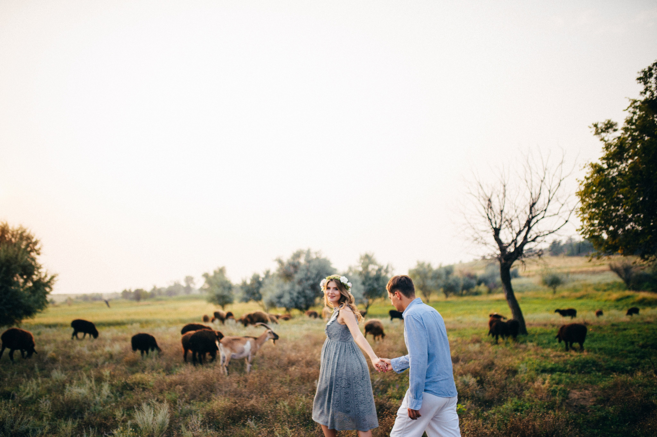 Оля и Боря. Свадебный фотограф/видеограф Максим Черников