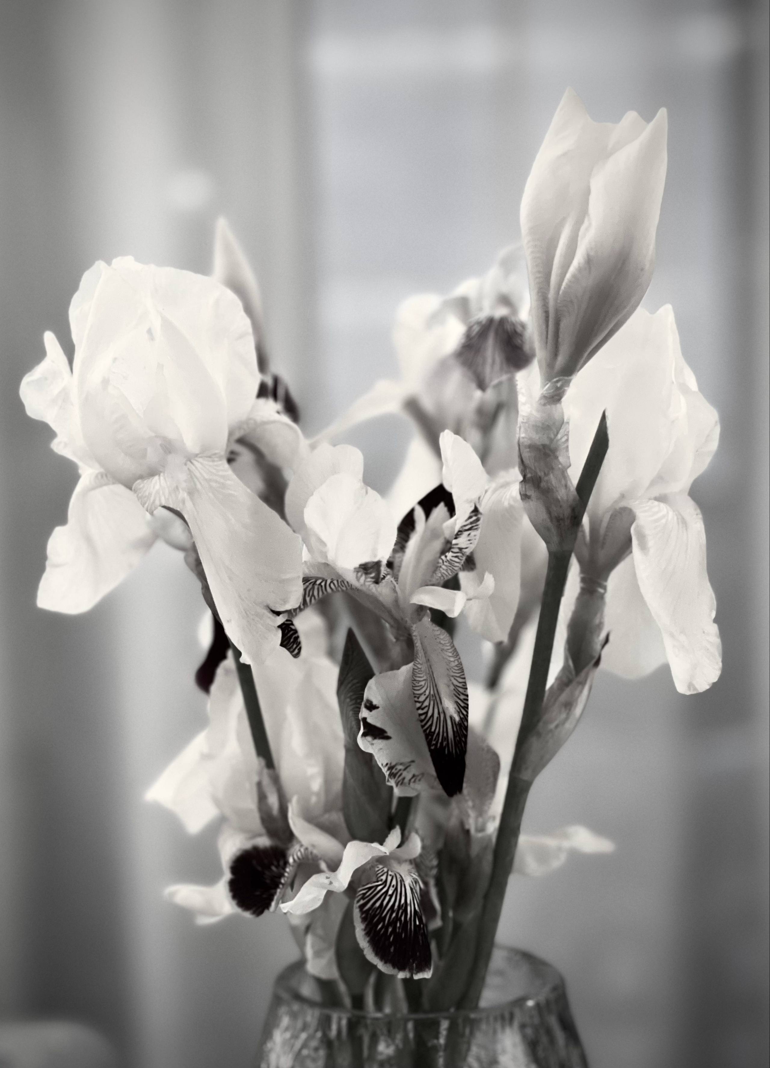 ЧБ. Творческая фотография Юлии Артюх, Москва