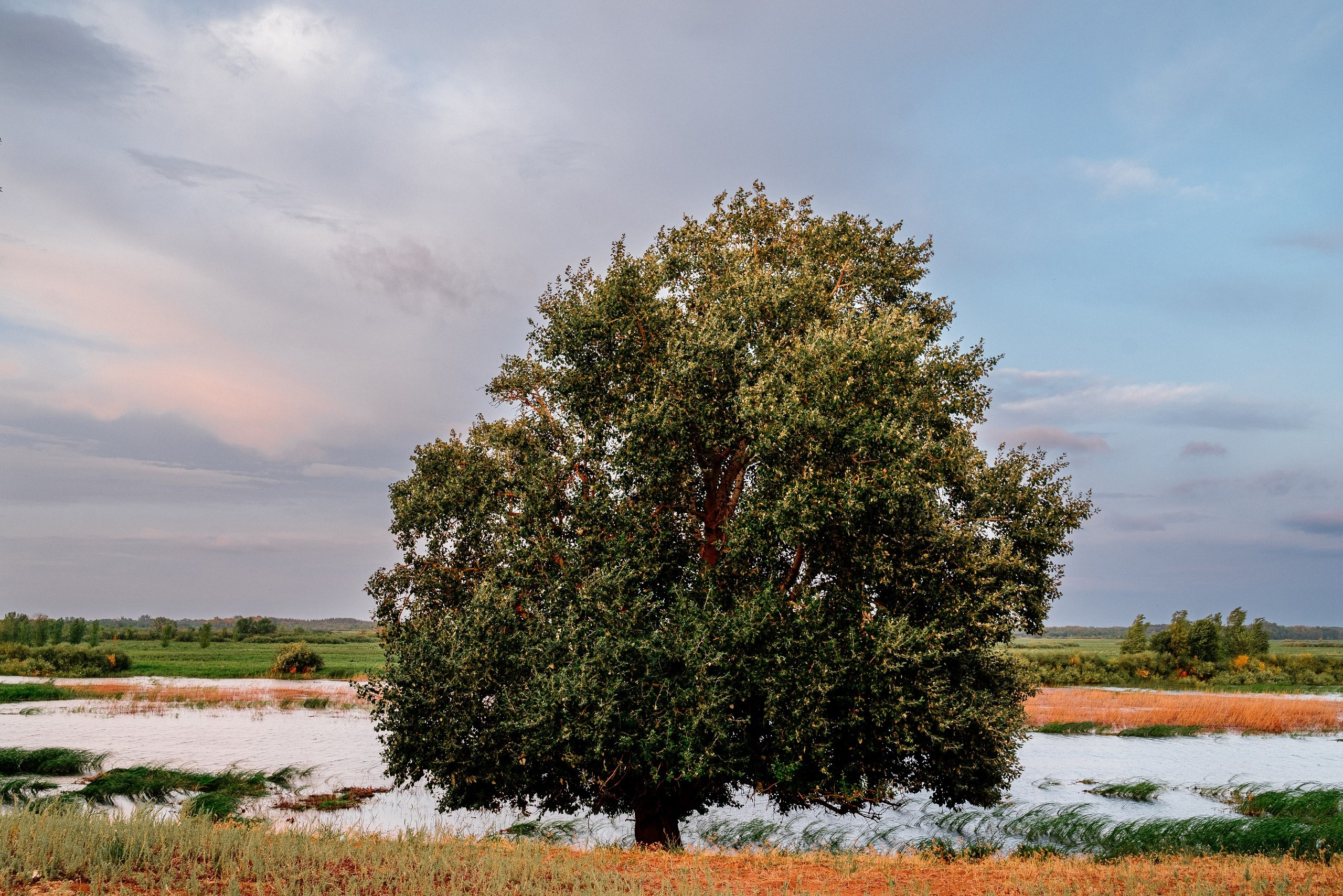 Пейзажи. Фотограф в Уральске | Трищенков Гордей