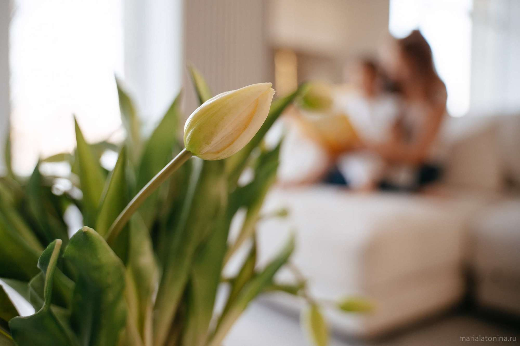 Таня и малышка Алиса. Семейный и свадебный фотограф в Санкт-Петербурге и Москве