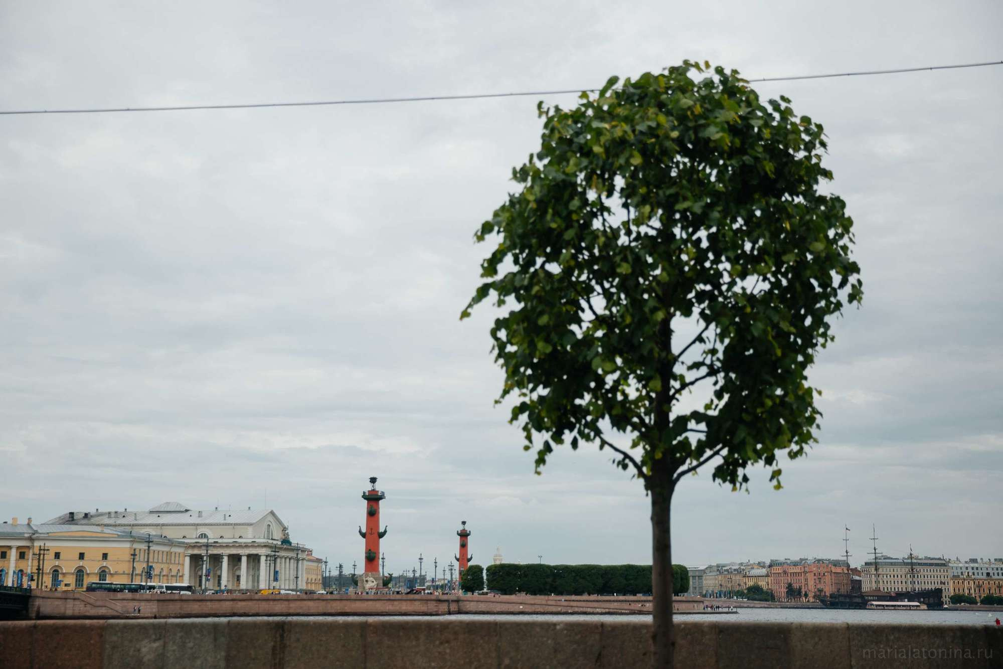 Леша и Настя