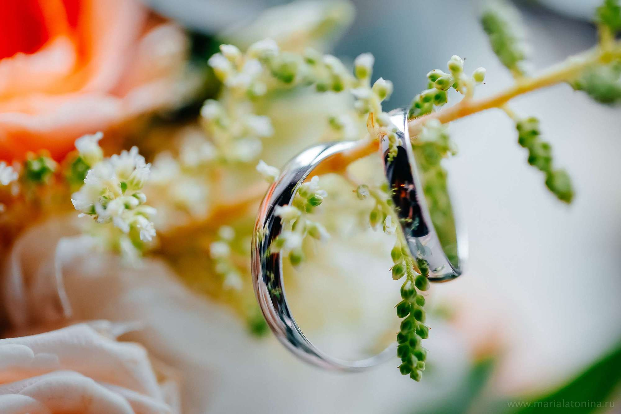 Алексей и Анастасия