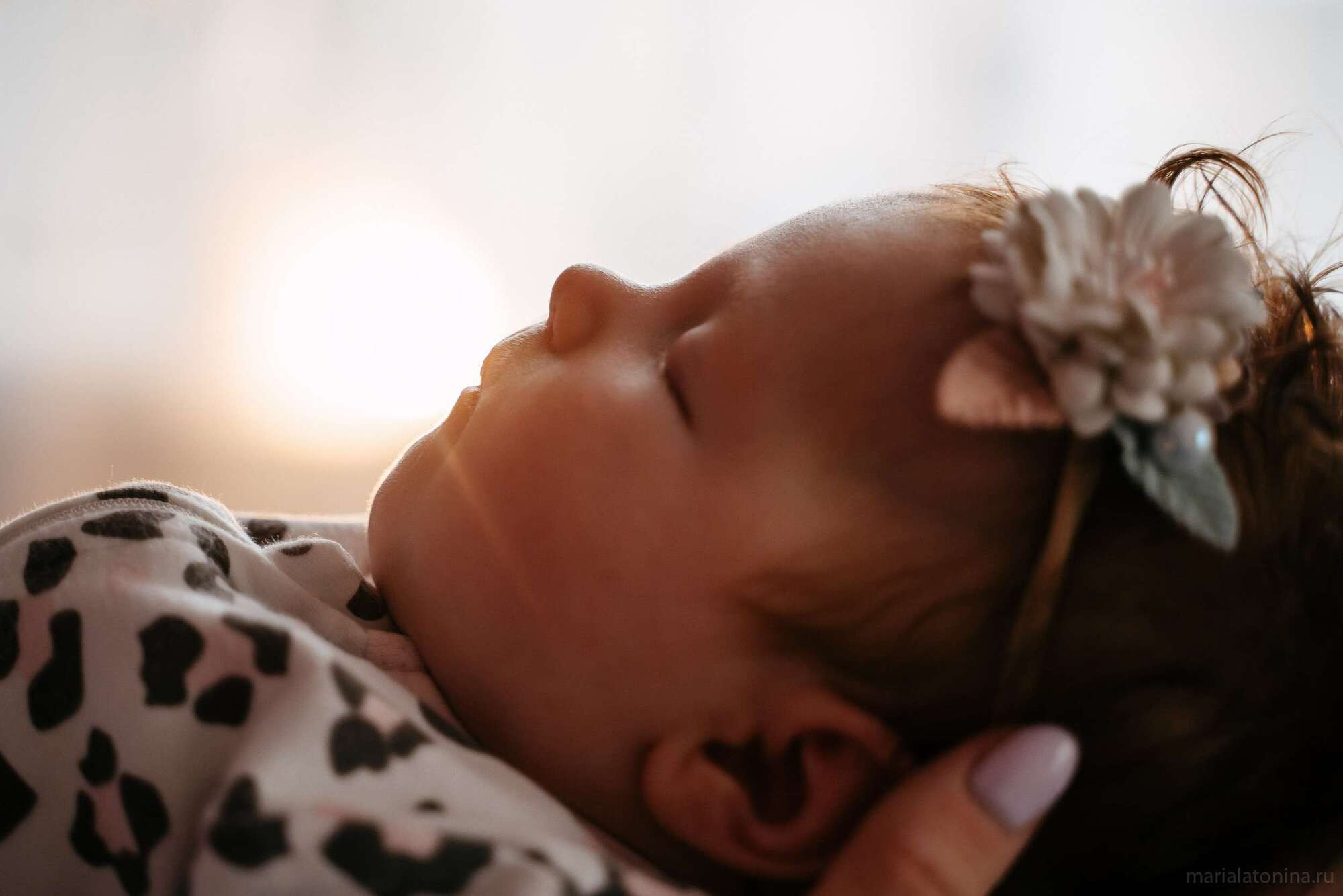 Бордовый домик. Семейный и свадебный фотограф в Санкт-Петербурге и Москве