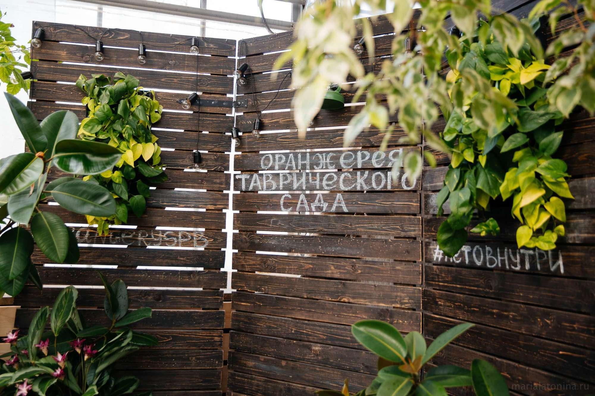 Андрей и Екатерина. Семейный и свадебный фотограф в Санкт-Петербурге и Москве