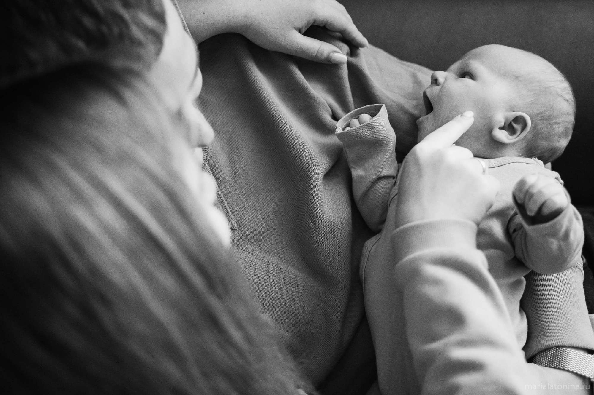 Маленькое гнездышко