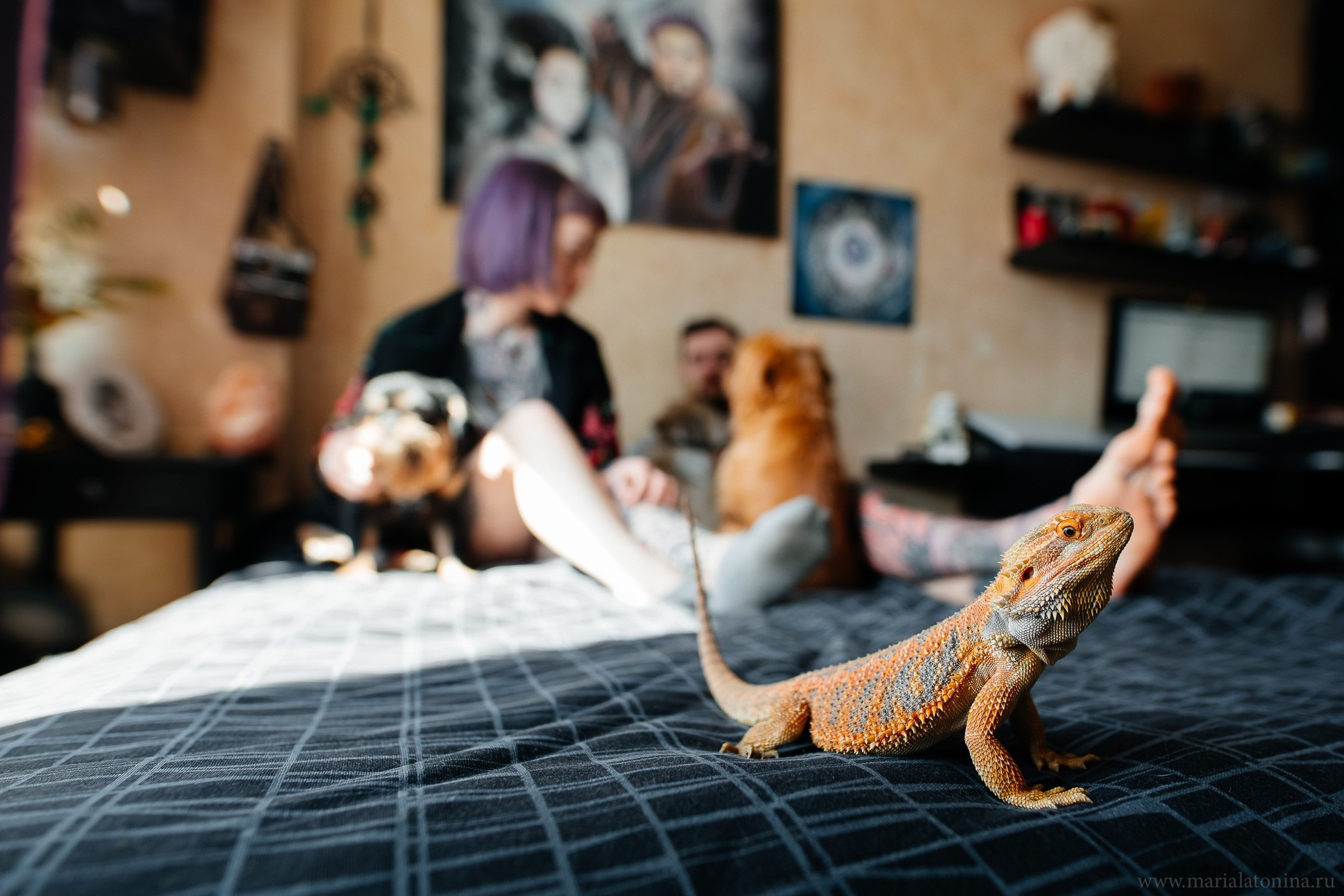 Татуированная семья