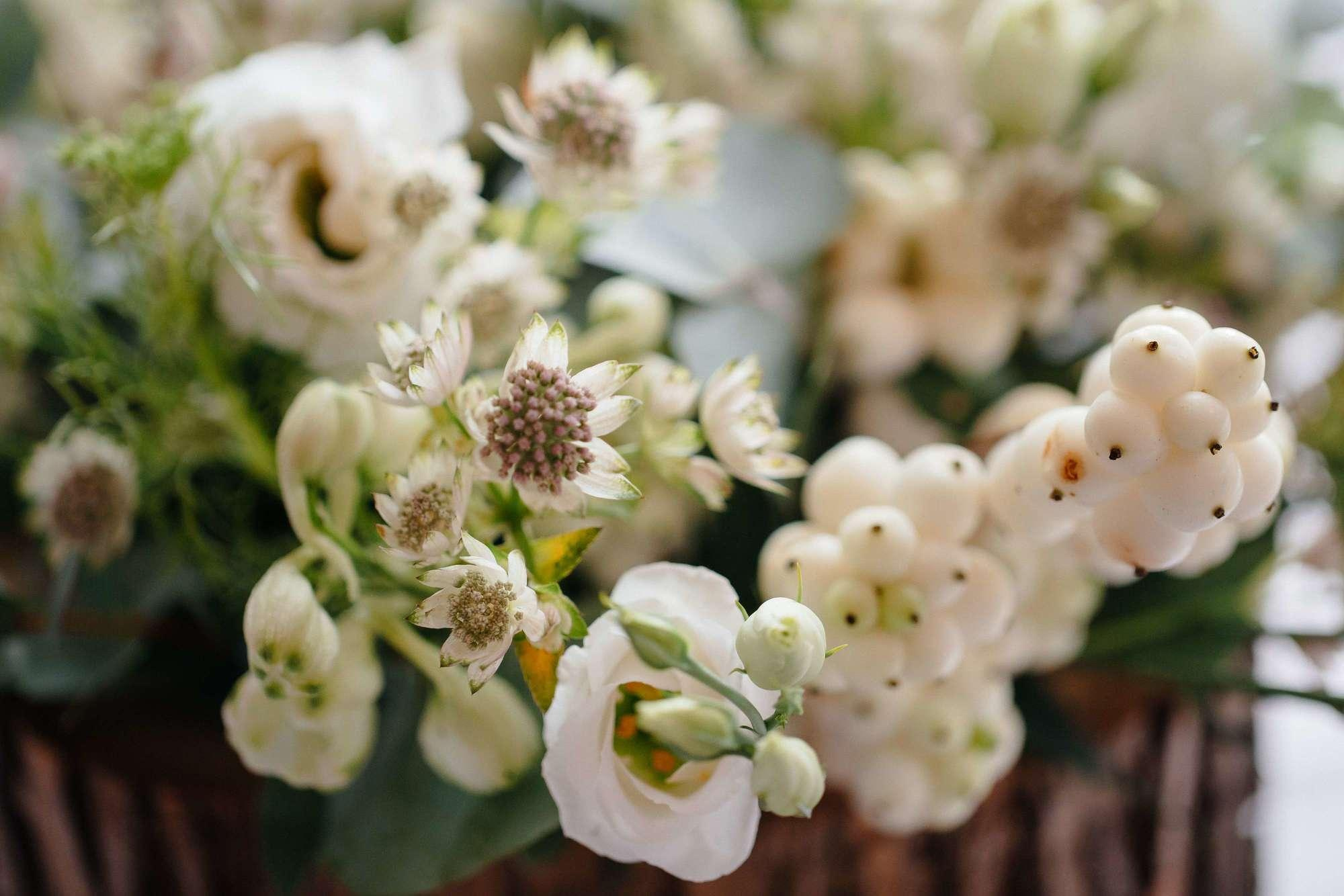 Костя и Катя