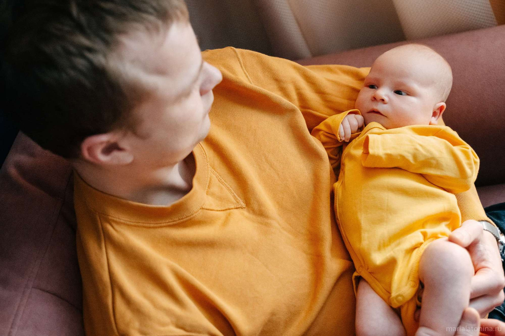 Маленькое гнездышко