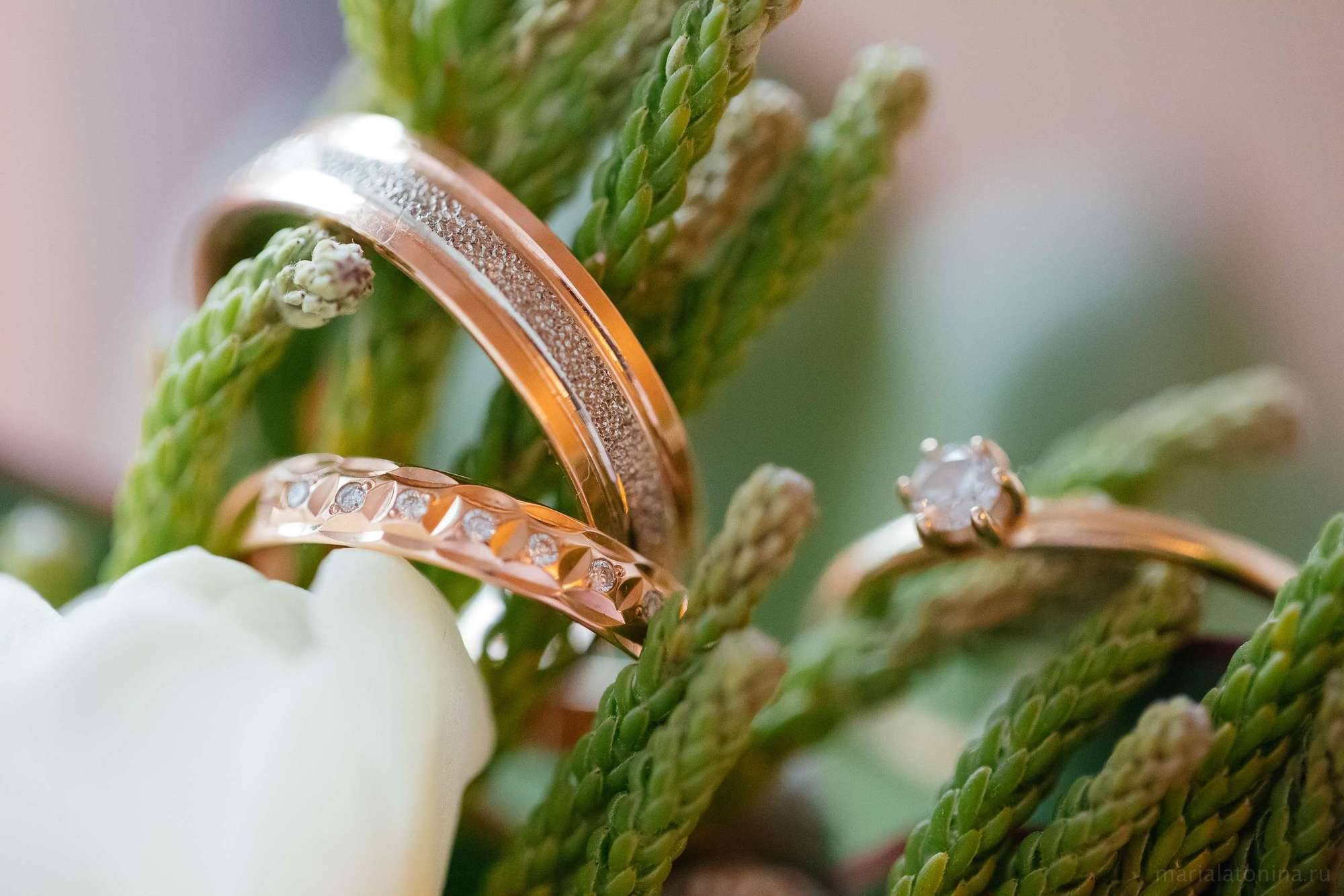 Леша и Настя