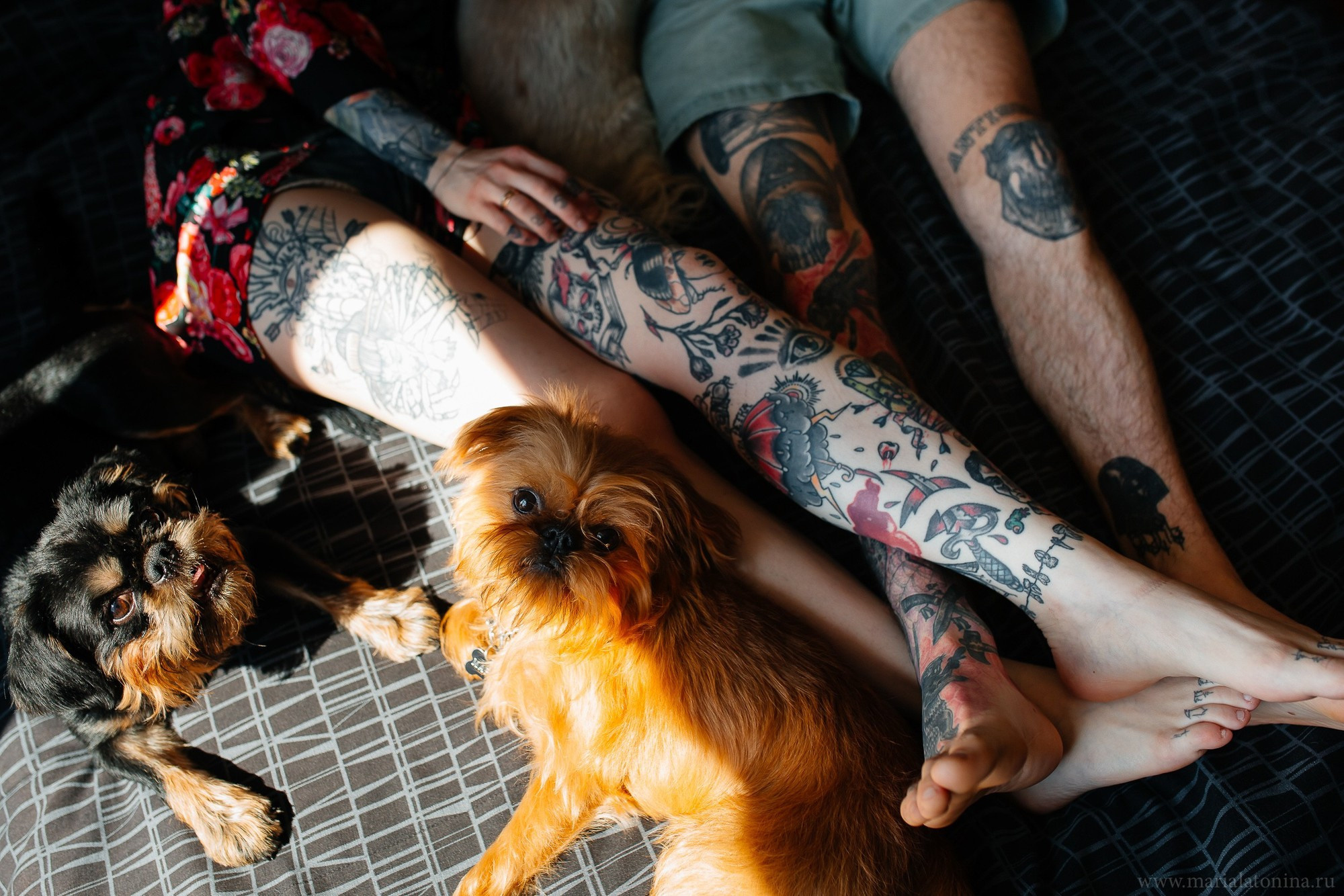 Татуированная семья