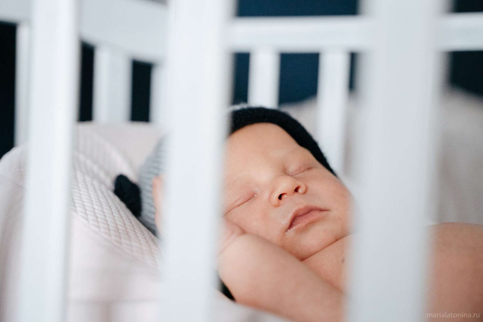 Маленькое гнездышко