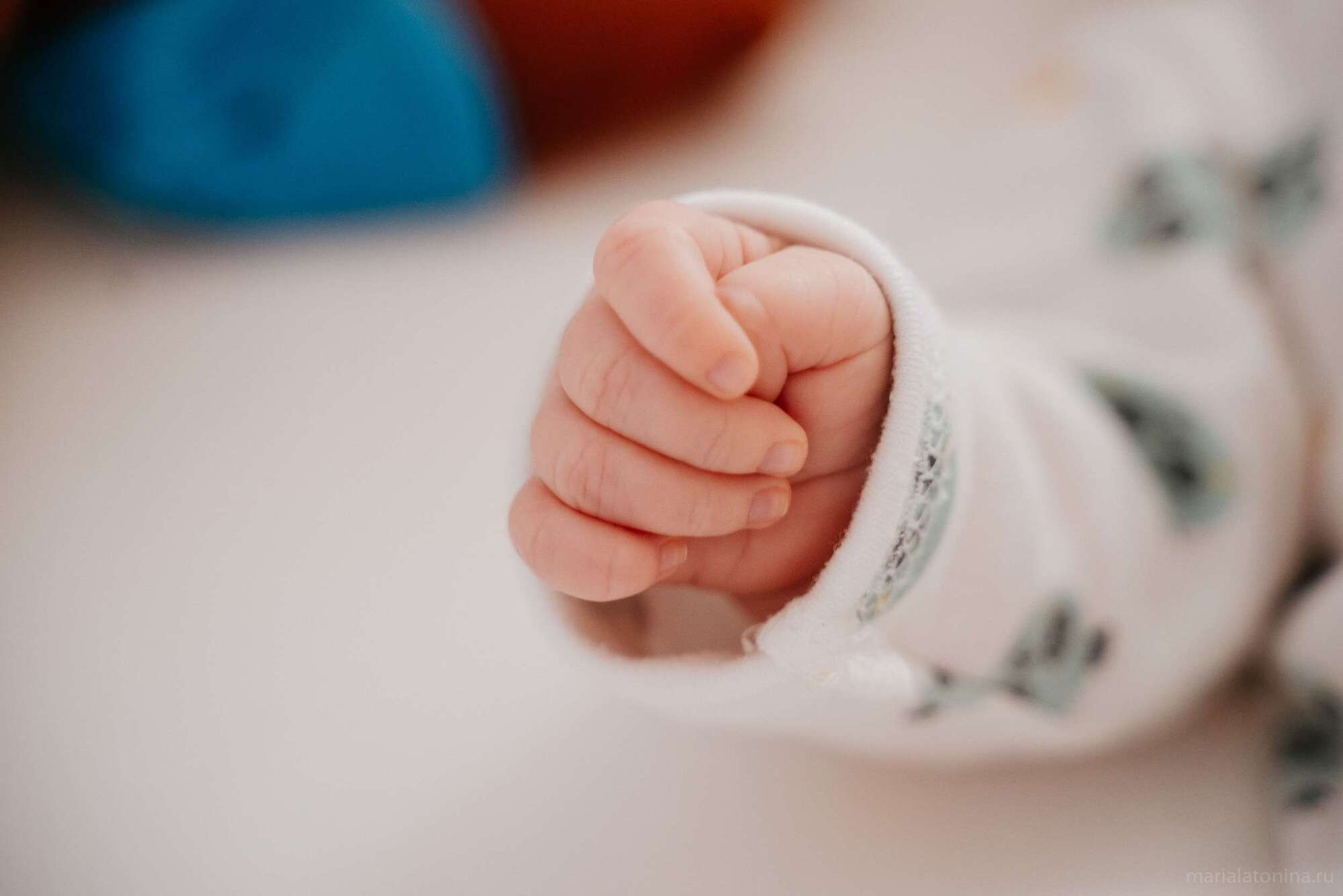 Бордовый домик. Семейный и свадебный фотограф в Санкт-Петербурге и Москве