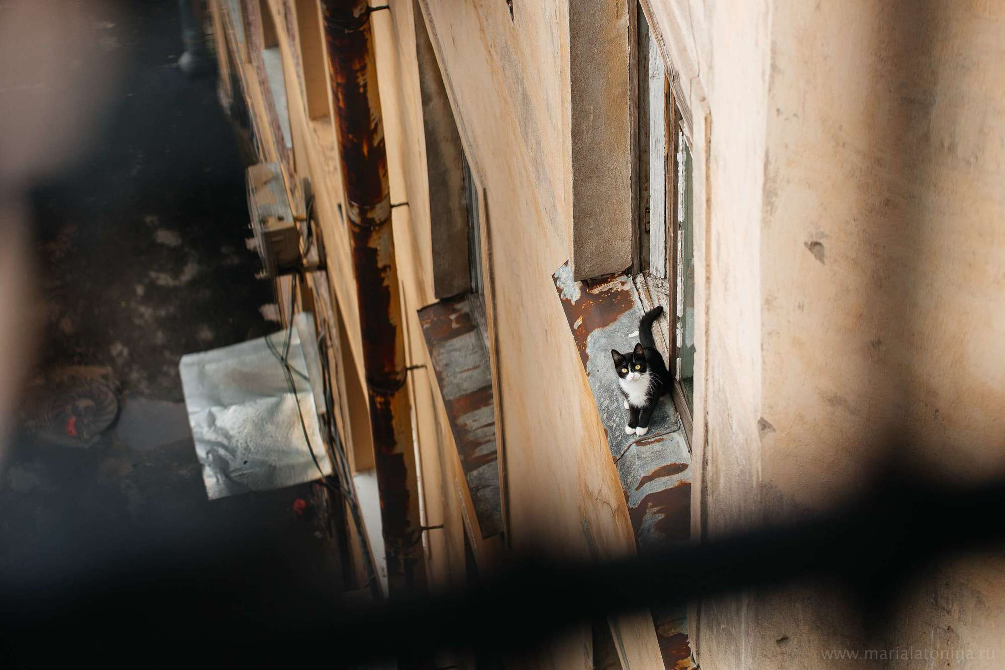 Алексей и Анастасия