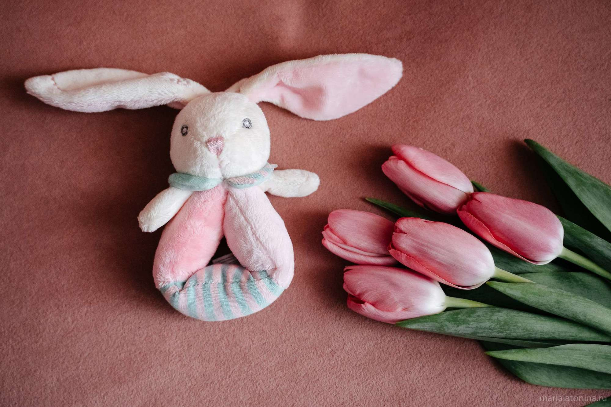 Маленькое гнездышко