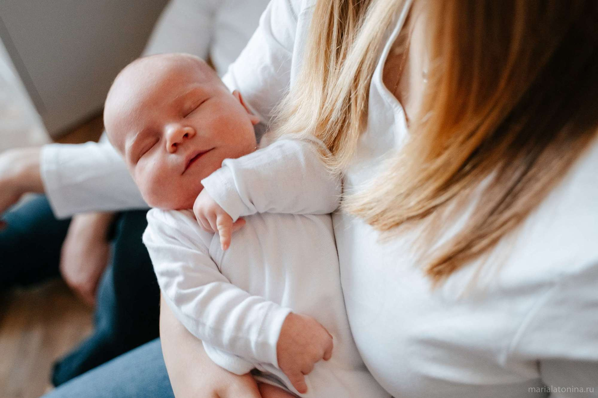 Маленькое гнездышко