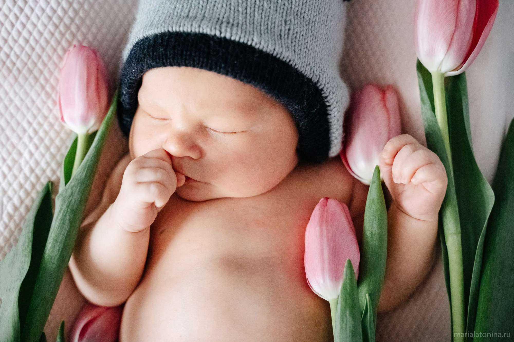 Маленькое гнездышко