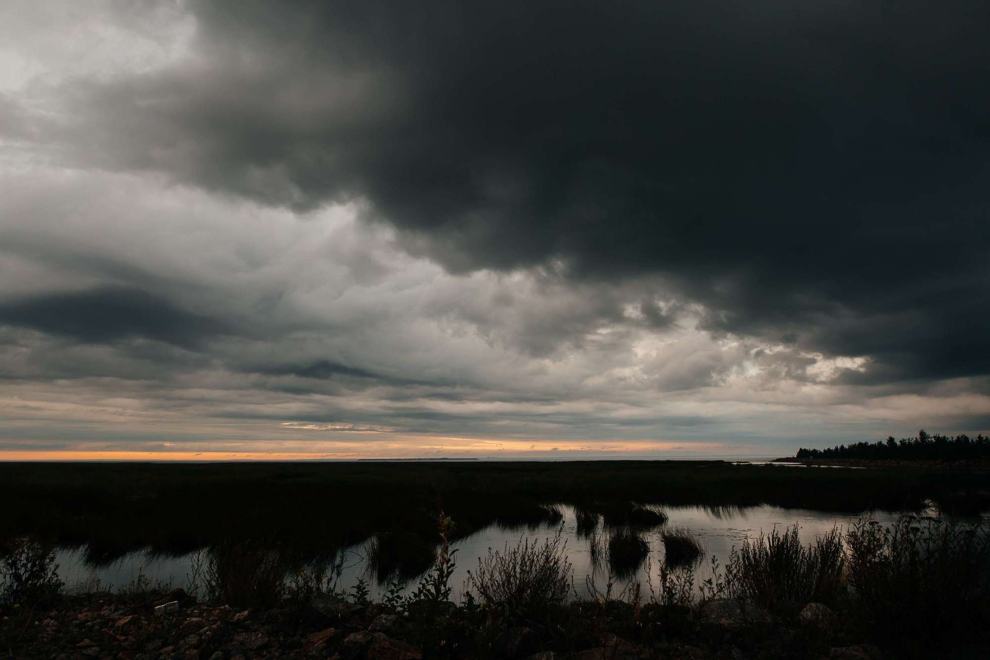 Полина и Саша