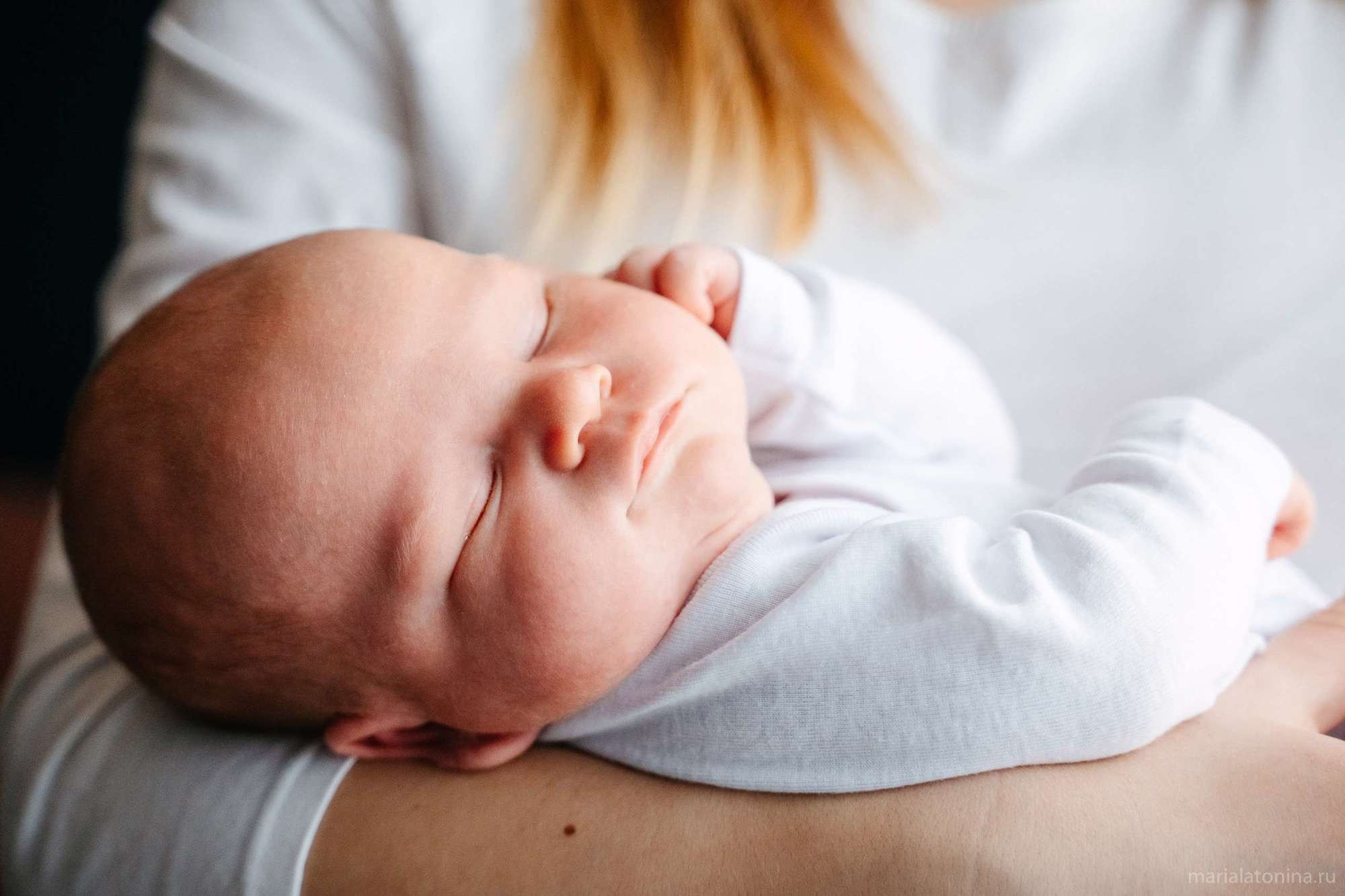 Маленькое гнездышко