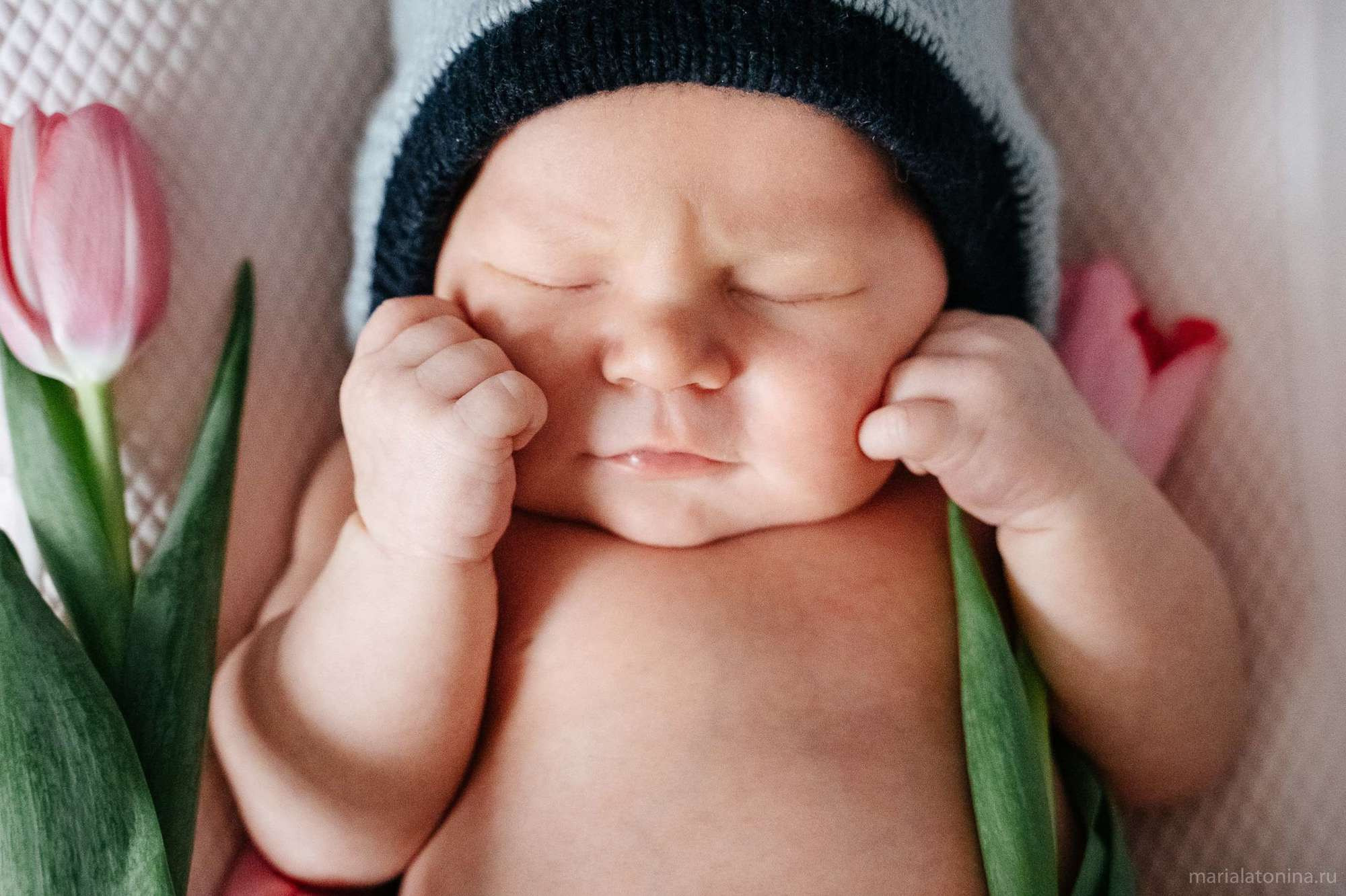 Маленькое гнездышко