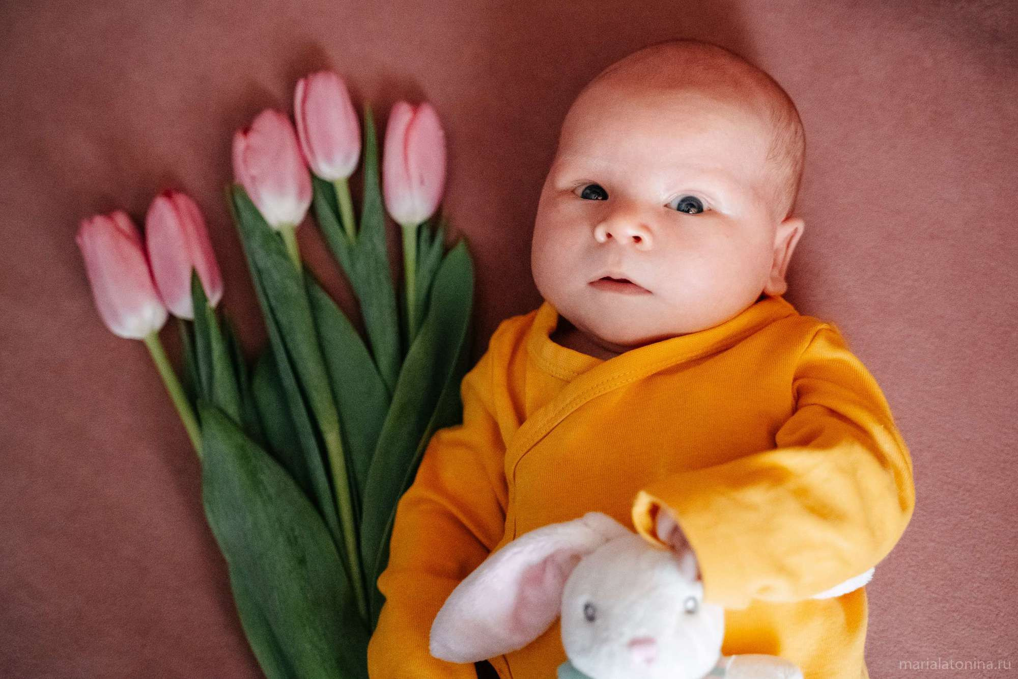 Маленькое гнездышко