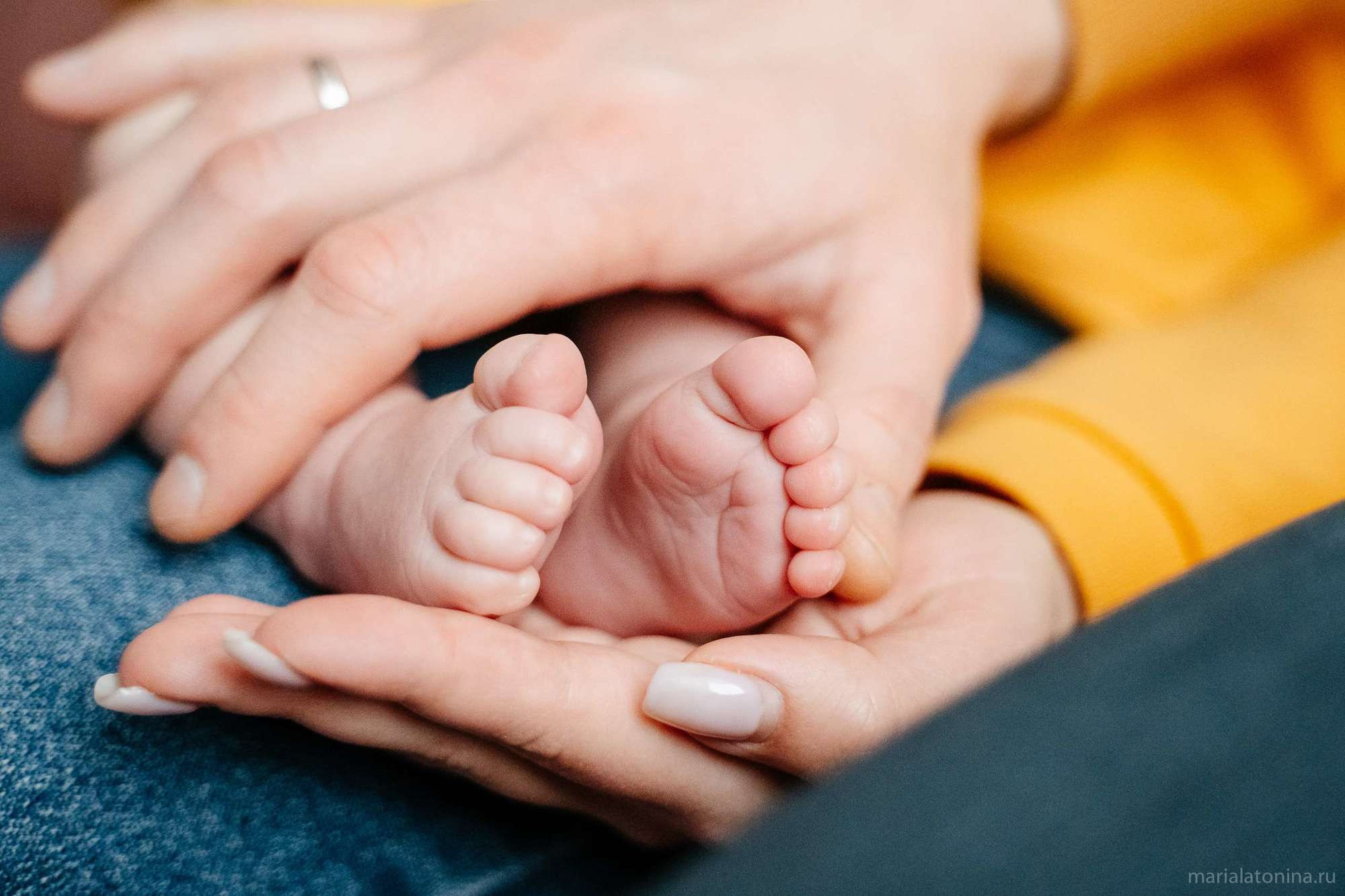 Маленькое гнездышко