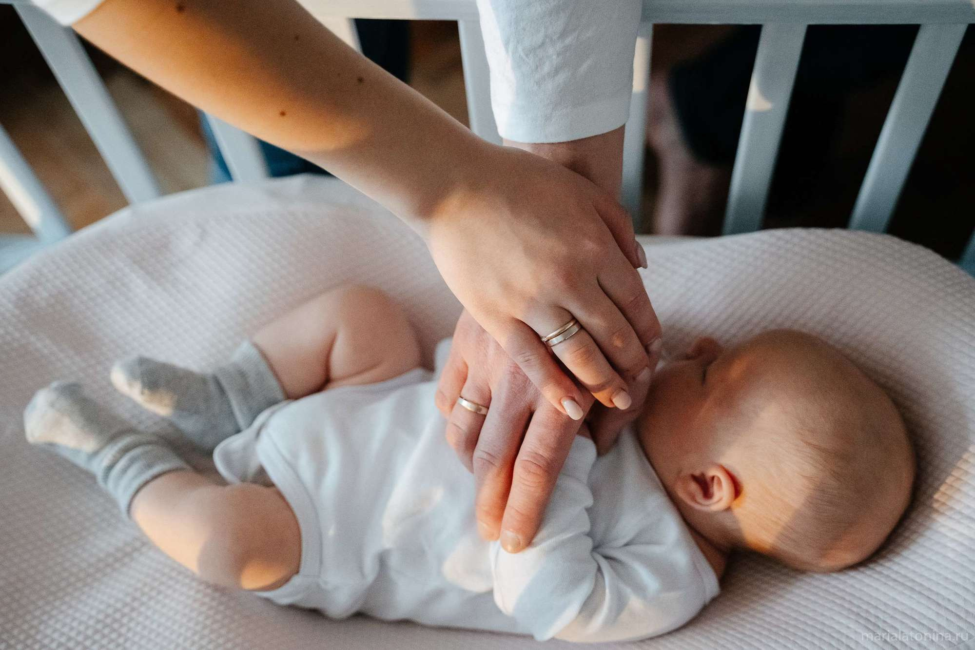 Маленькое гнездышко