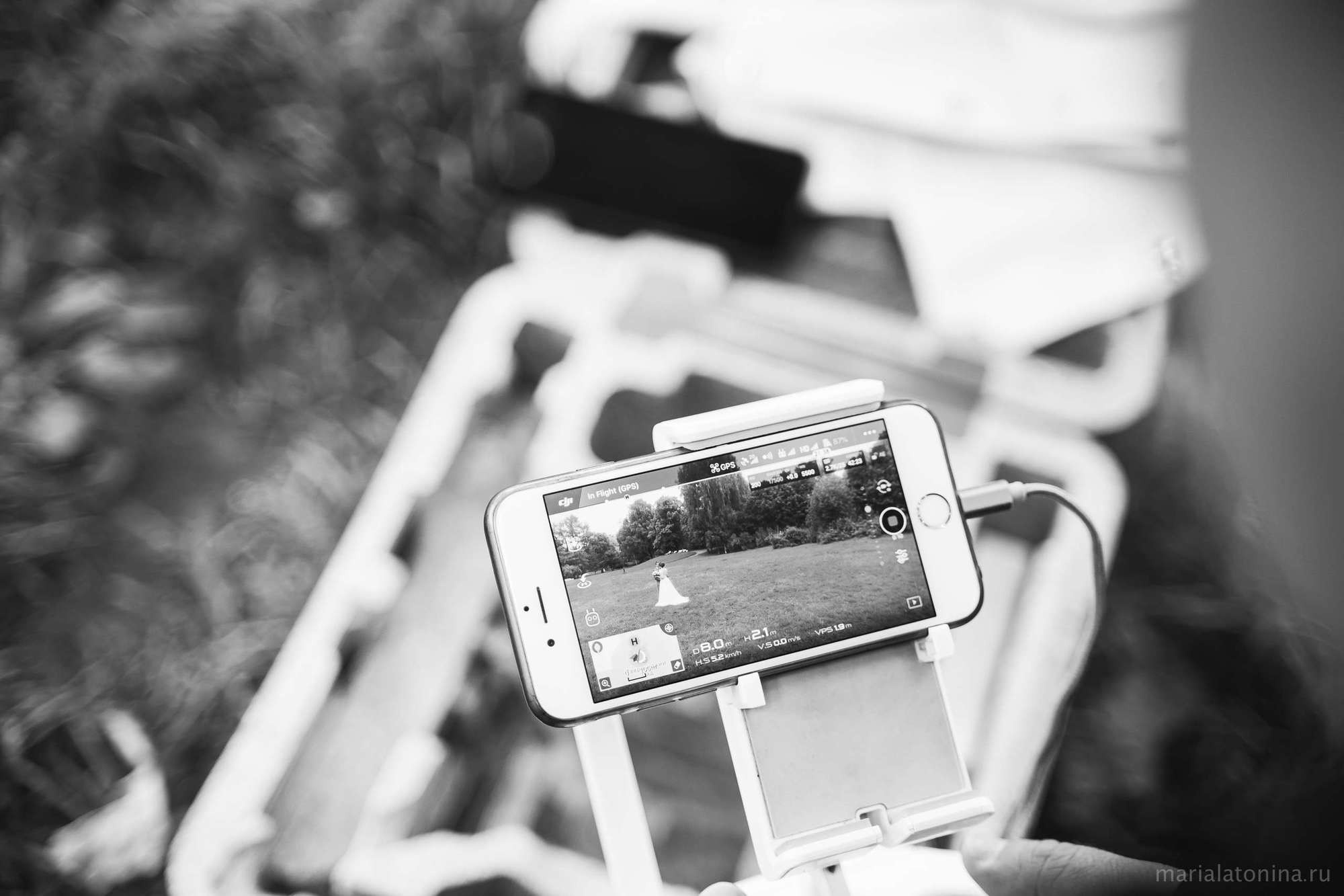 Коля и Люба