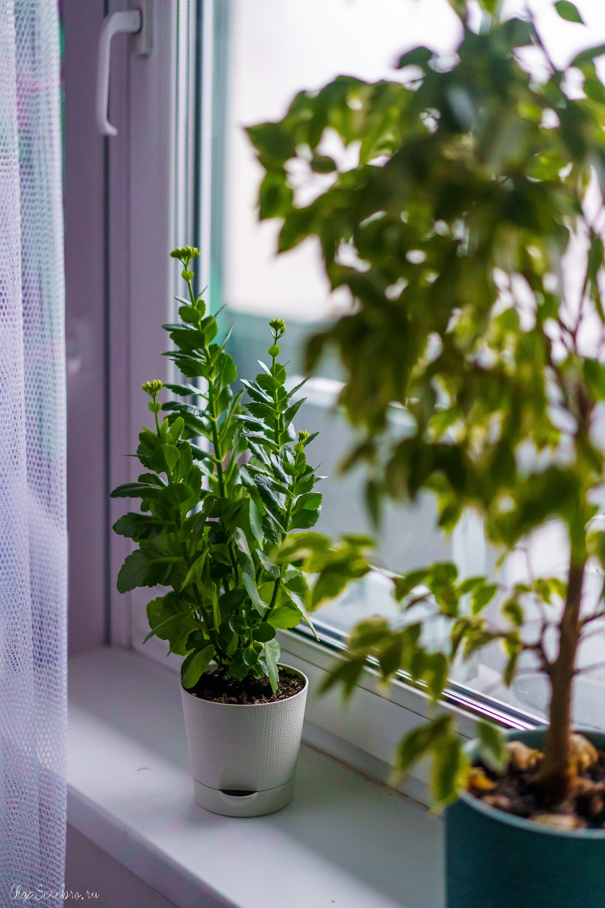 Йога-перезагрузка. Фотограф Челябинск · Ольга Серебрякова