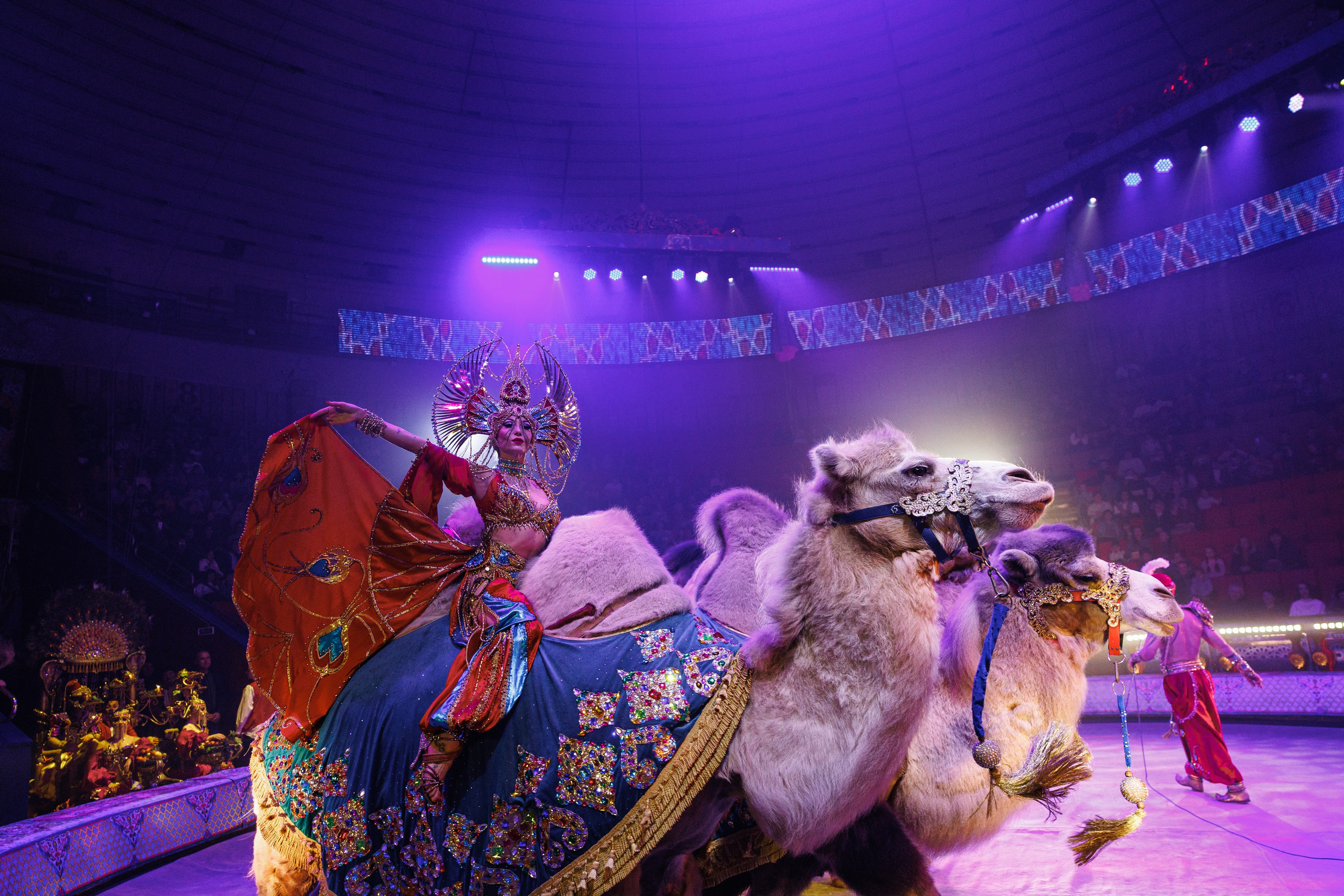 Цирк «Песчаная Сказка». Фотограф Ставрополь Петр Голубенко