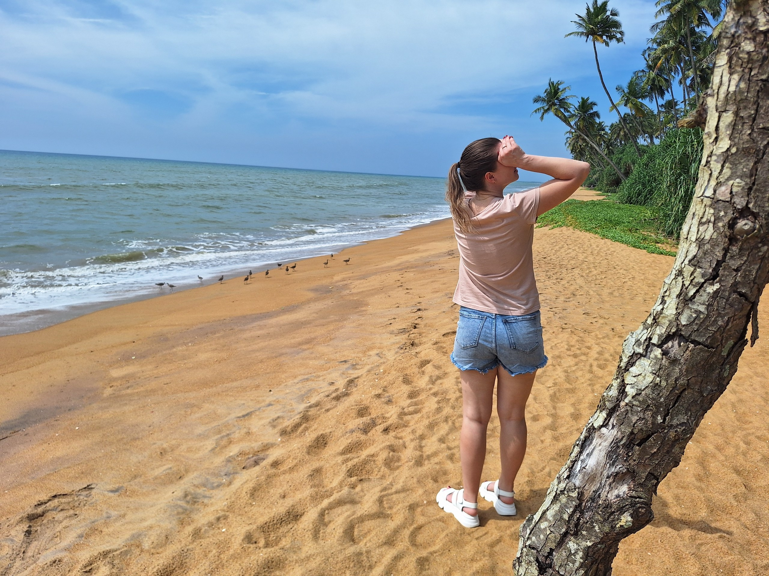 Шри-Ланка | 31.01 — 10.02.2025. Галерея Фантим