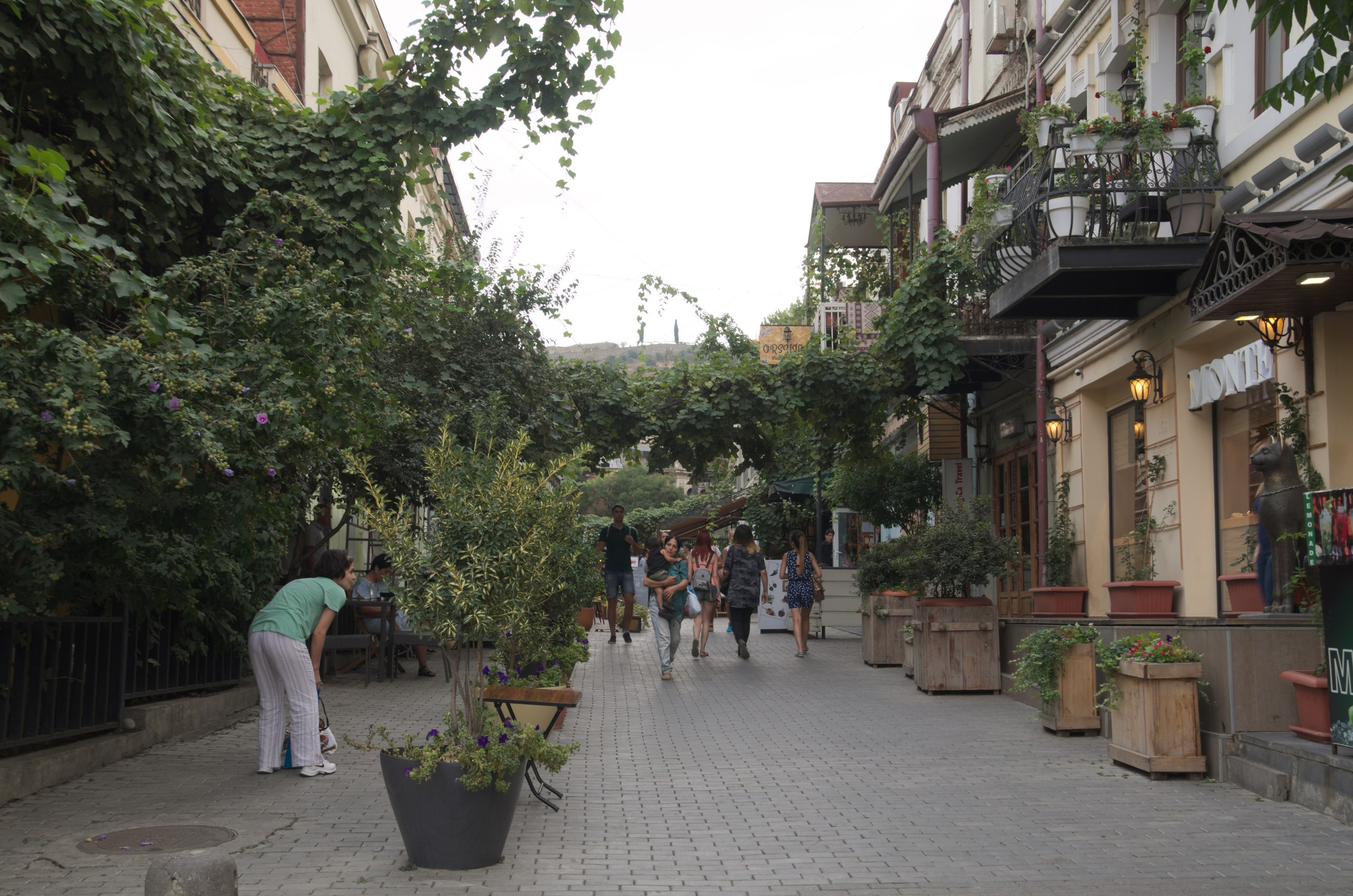 Грузия | 22-25.09.2017. Галерея Фантим