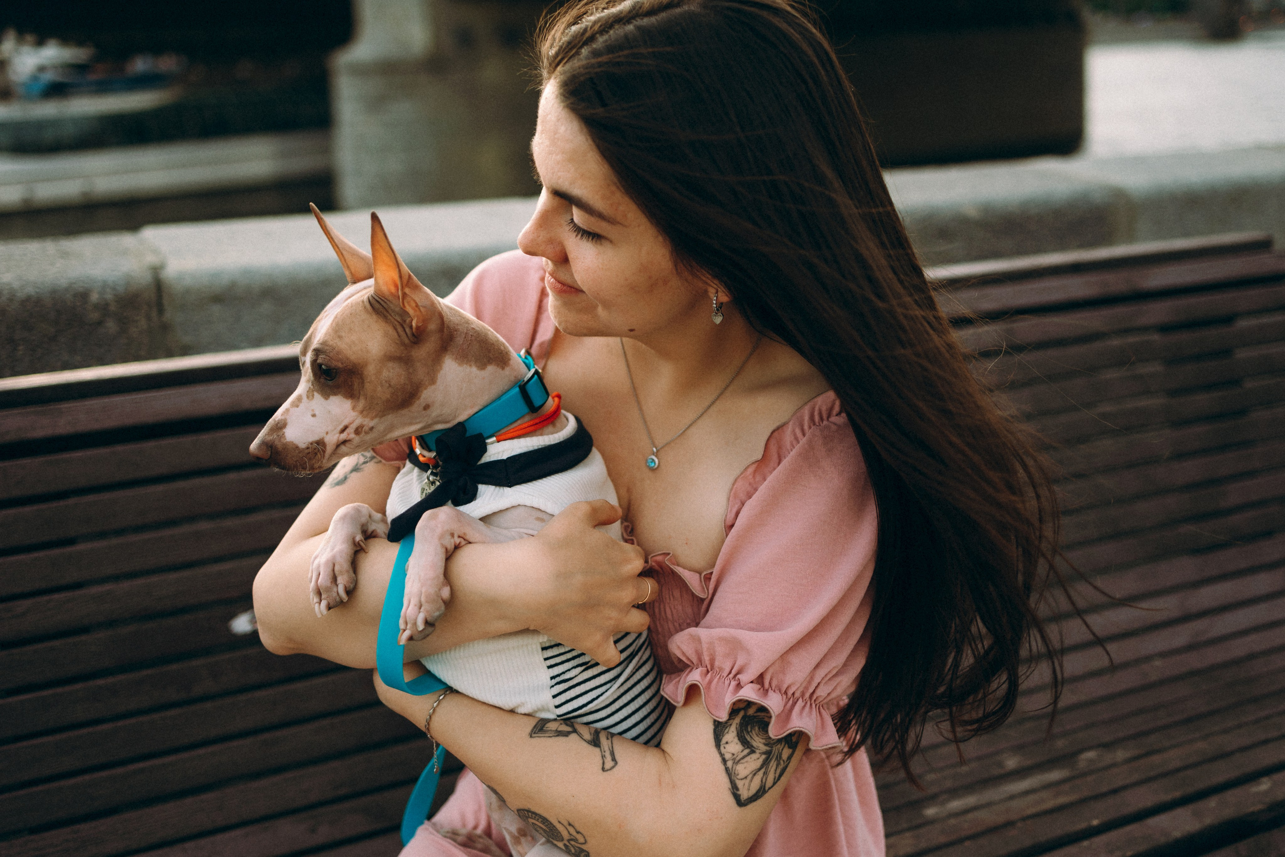 Глаша, Айрон, Ксюша и Оля. Фотограф анималист Анастасия Пикей