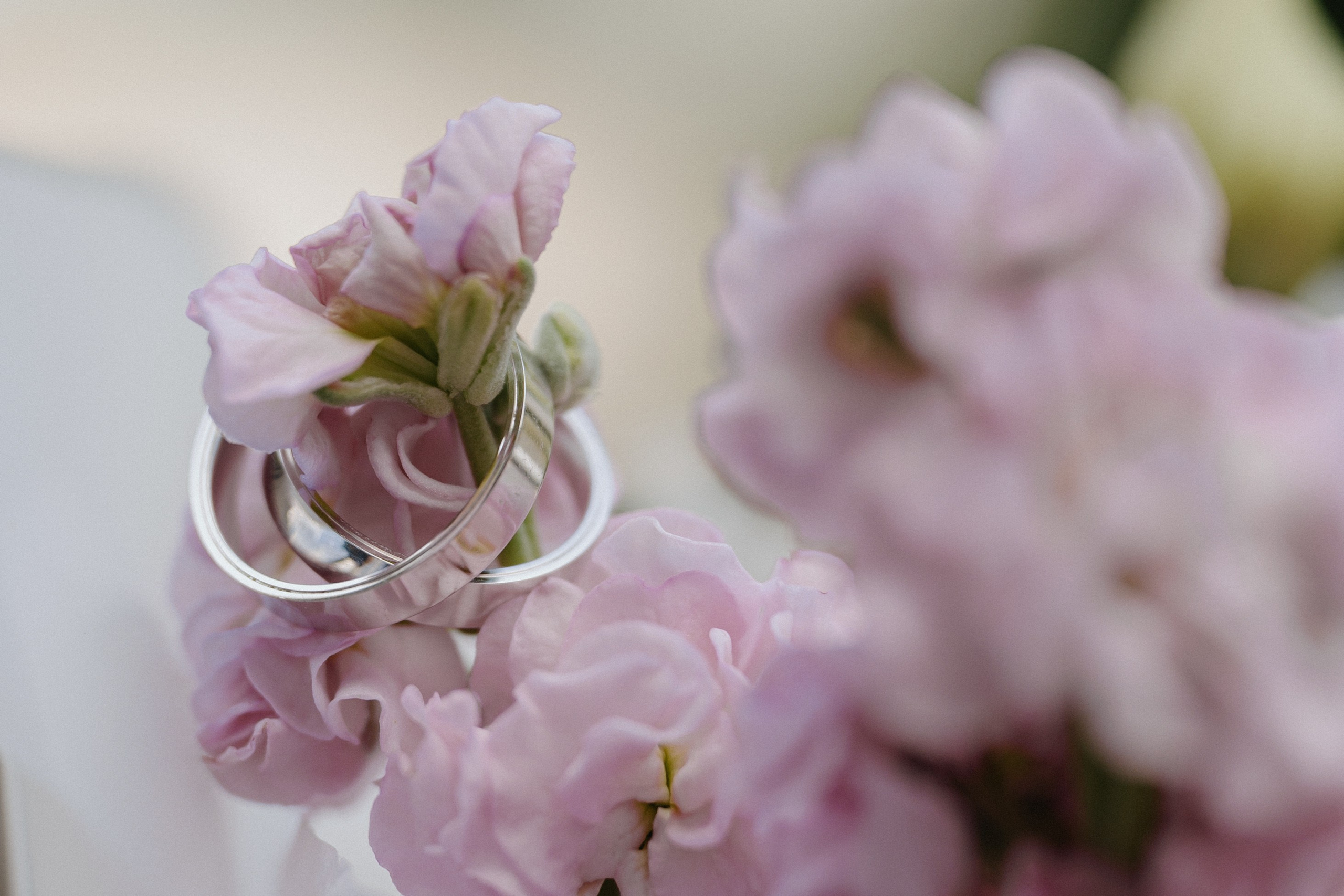 Полина & Михаил