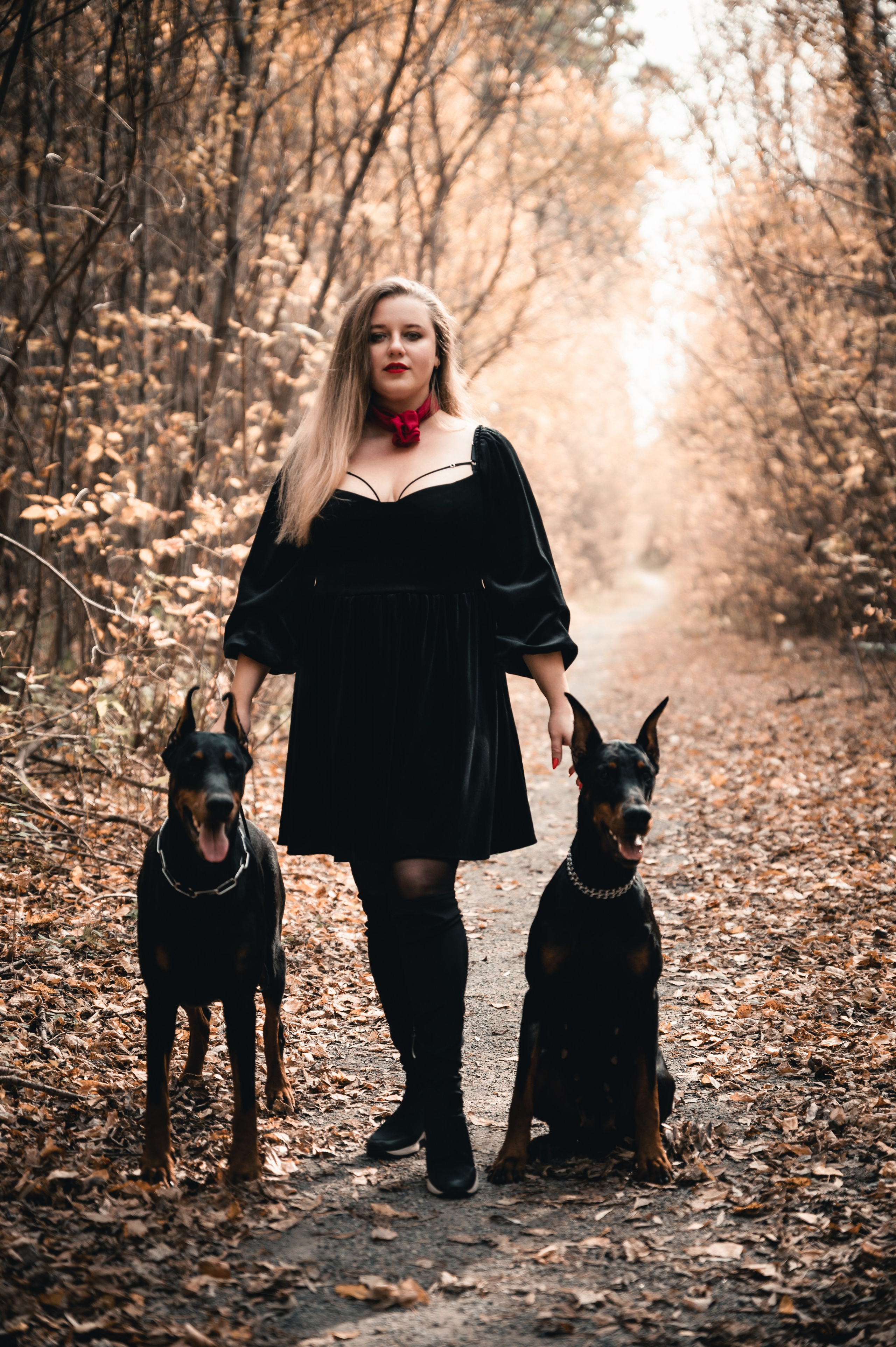 Съемка с доберманами. Фотограф в Новосибирске