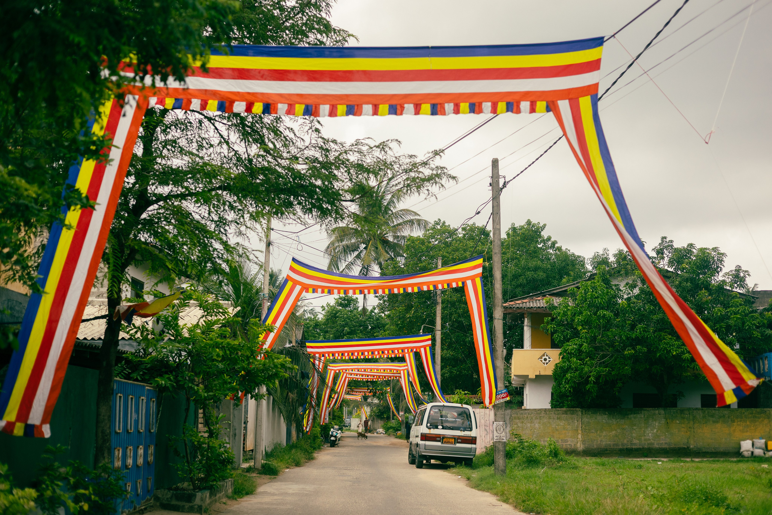 Vesak Poya 2023. Photographer Sonkina Tatiana (Tanya Ash)