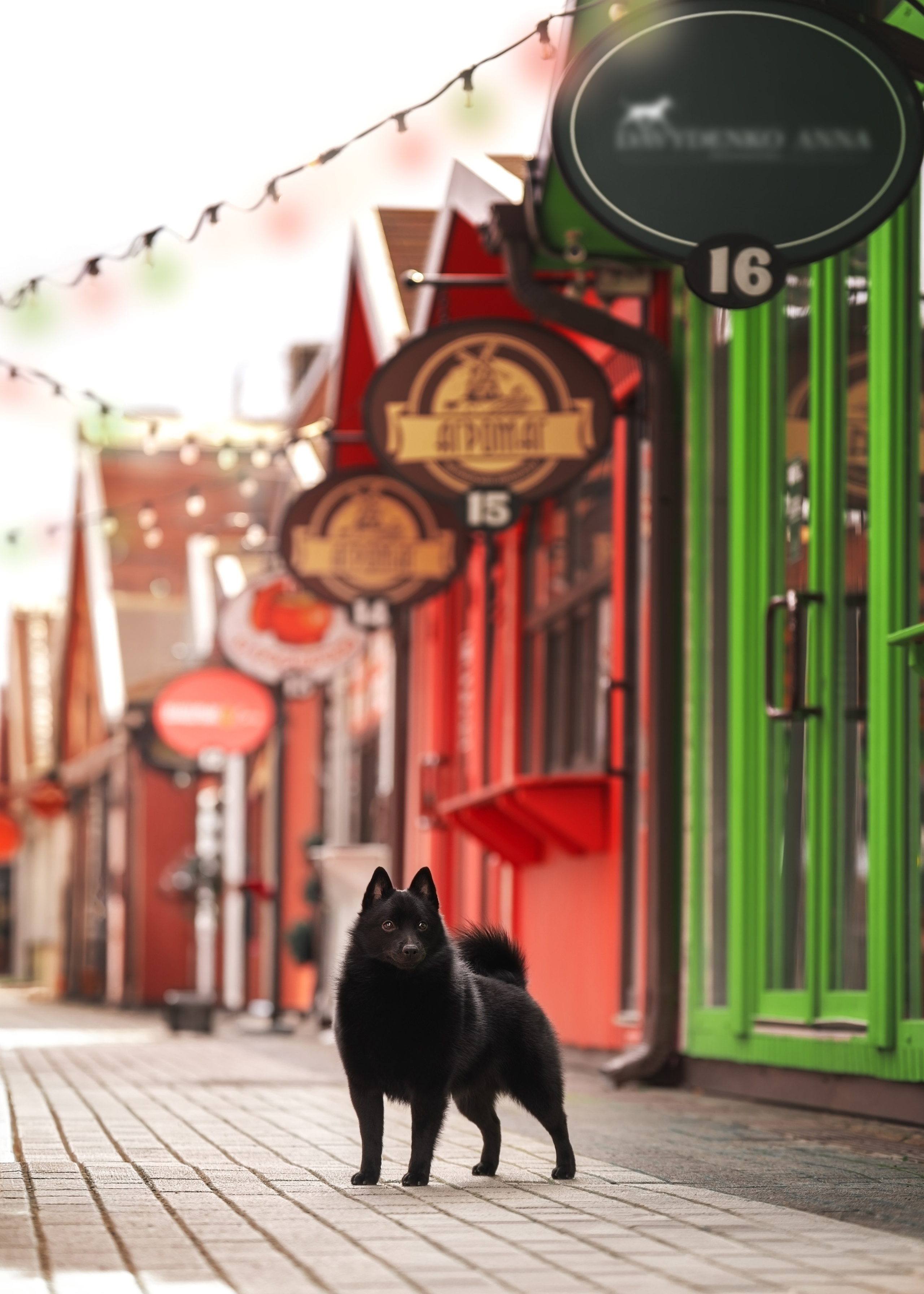 НОУЗВОРК 1–4 мая