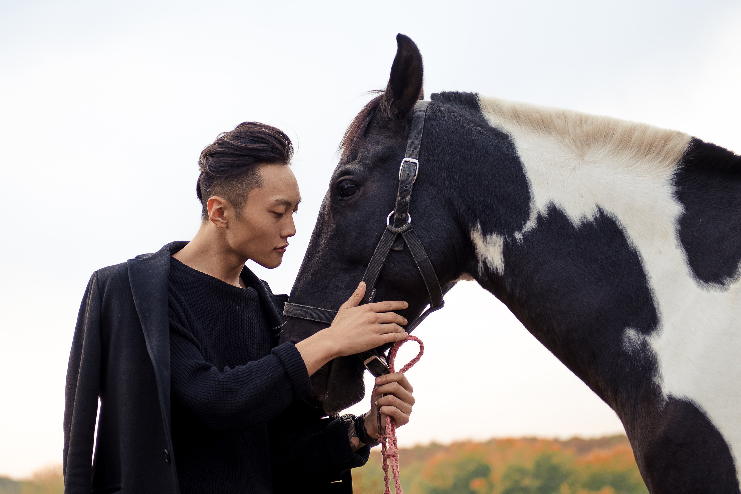 Конюшня (мой мастер класс). Фотограф в Краснодаре Альбрехт Амина