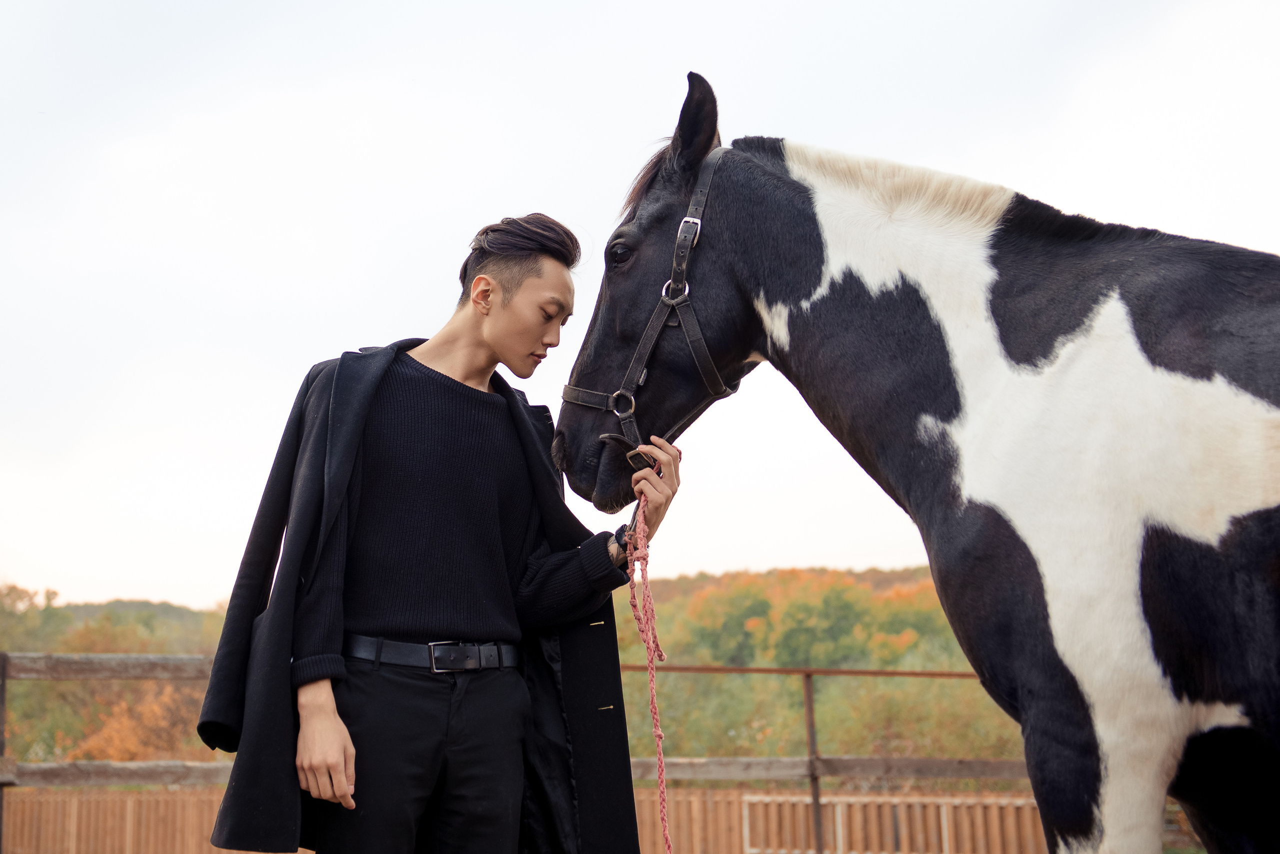 Конюшня (мой мастер класс). Фотограф в Краснодаре Альбрехт Амина