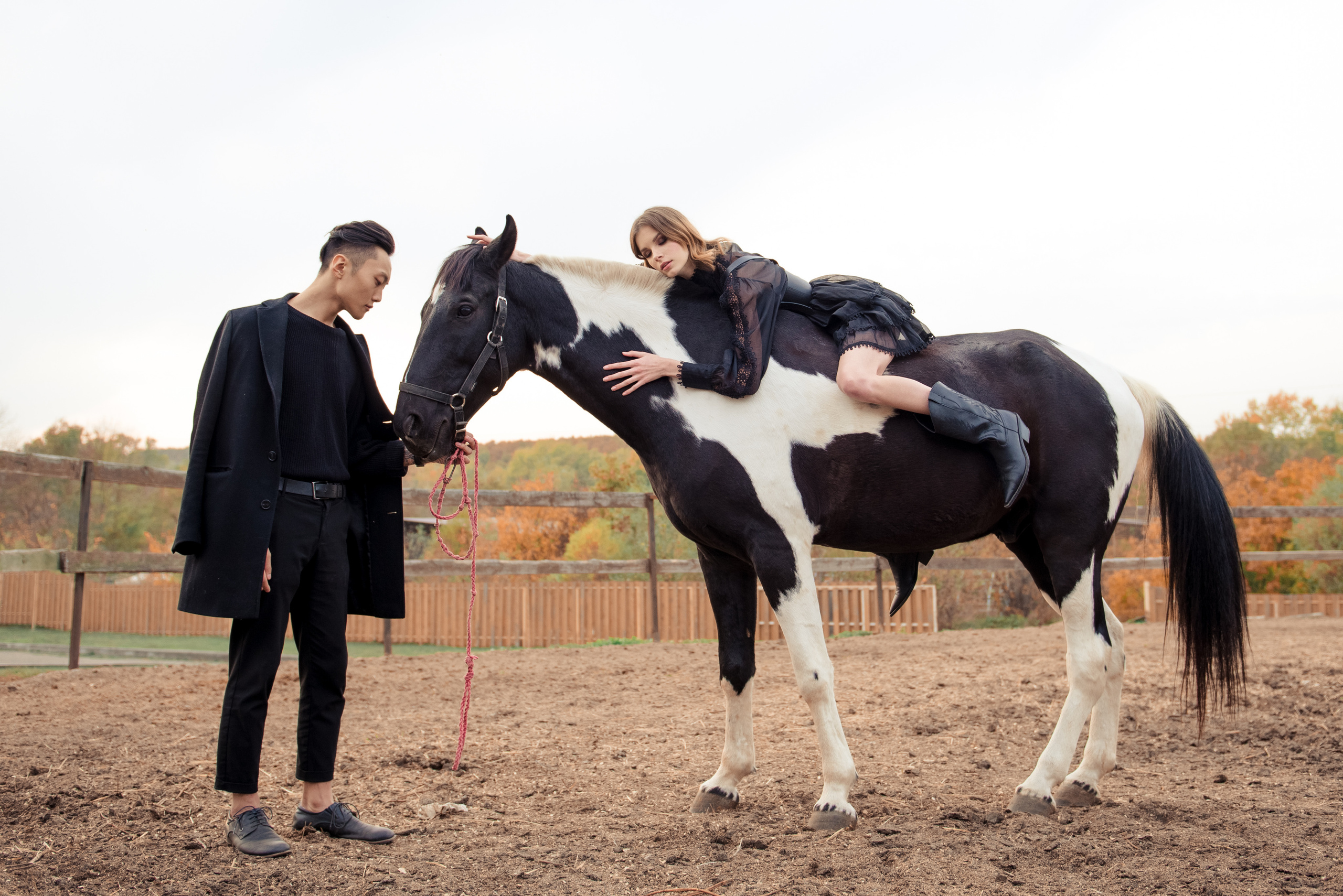 Конюшня (мой мастер класс). Фотограф в Краснодаре Альбрехт Амина