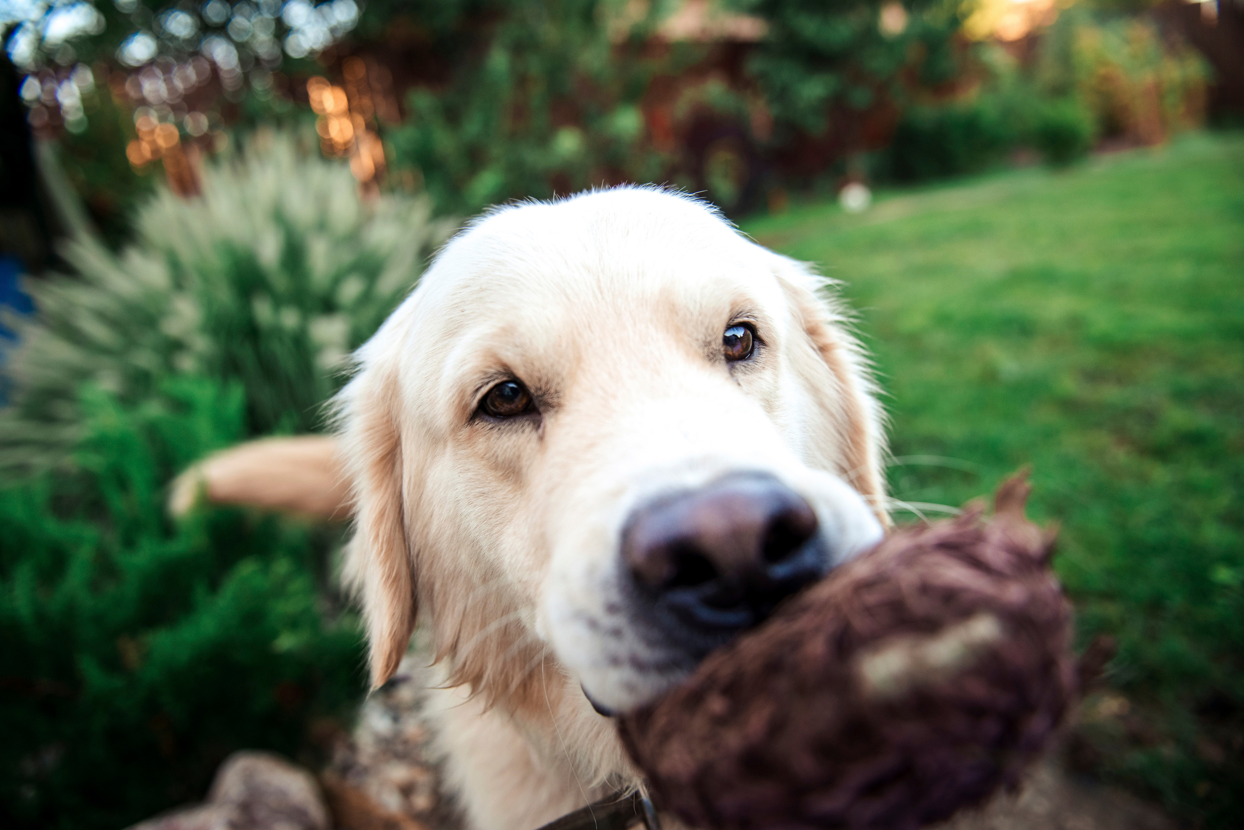 Алексей руководитель строительной компании. Фотограф в Краснодаре Альбрехт Амина