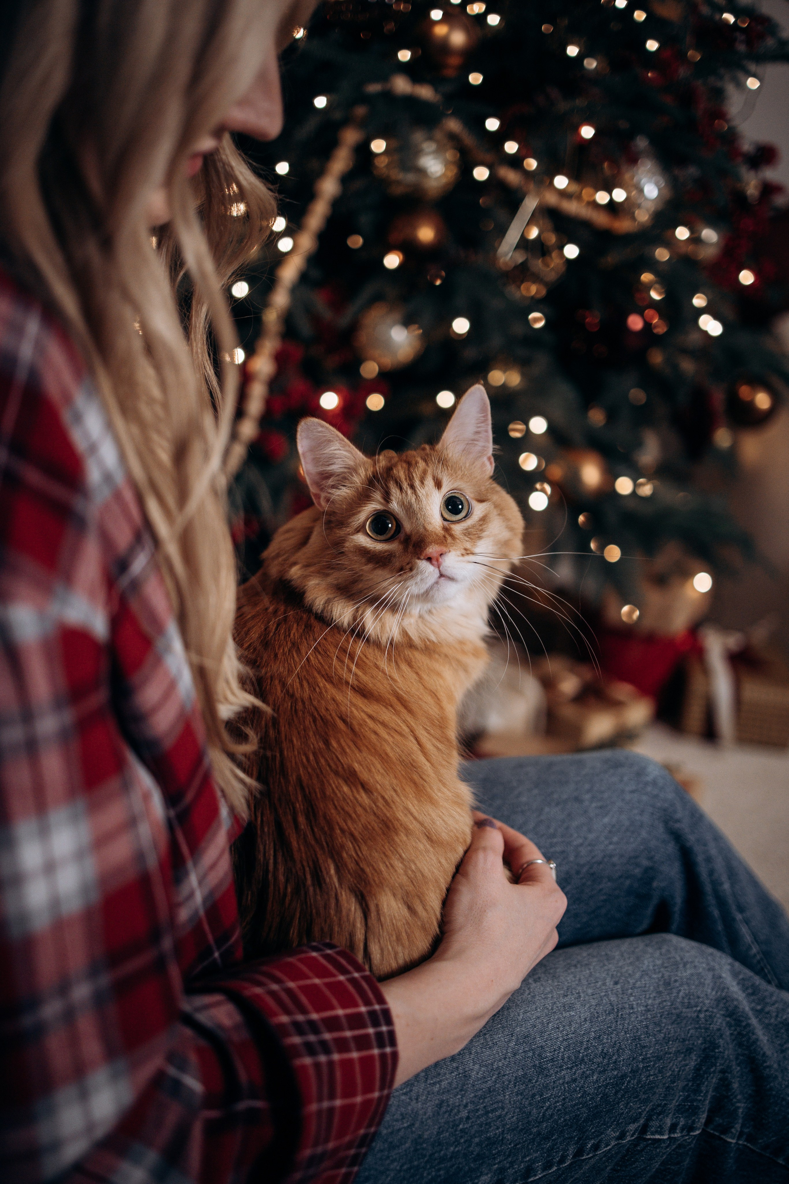 Эля и Франц. Фотограф — Анималист | Санкт-Петербург