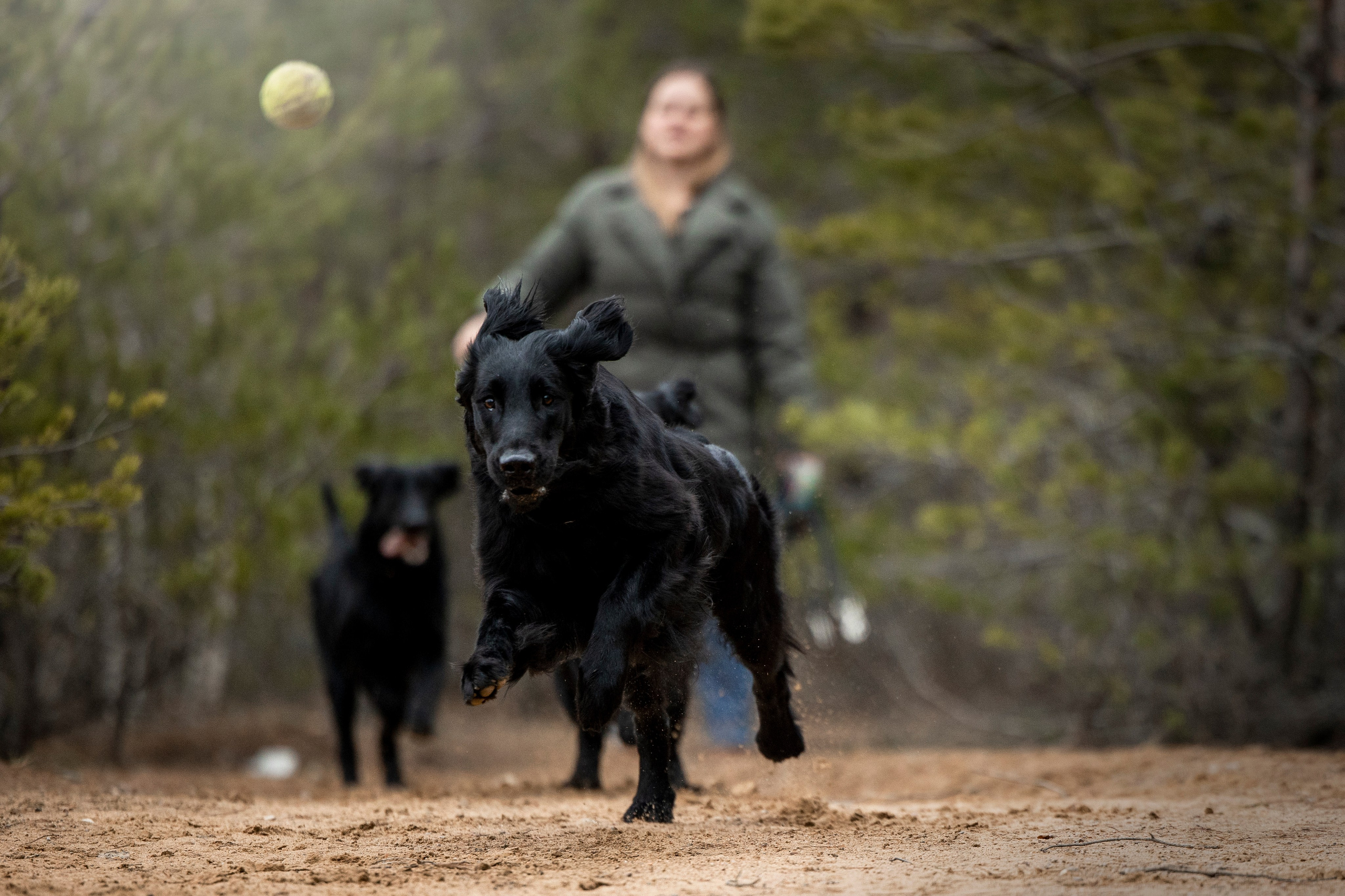Ора, Ева, Рози и их семья. Фотограф — Анималист | Санкт-Петербург